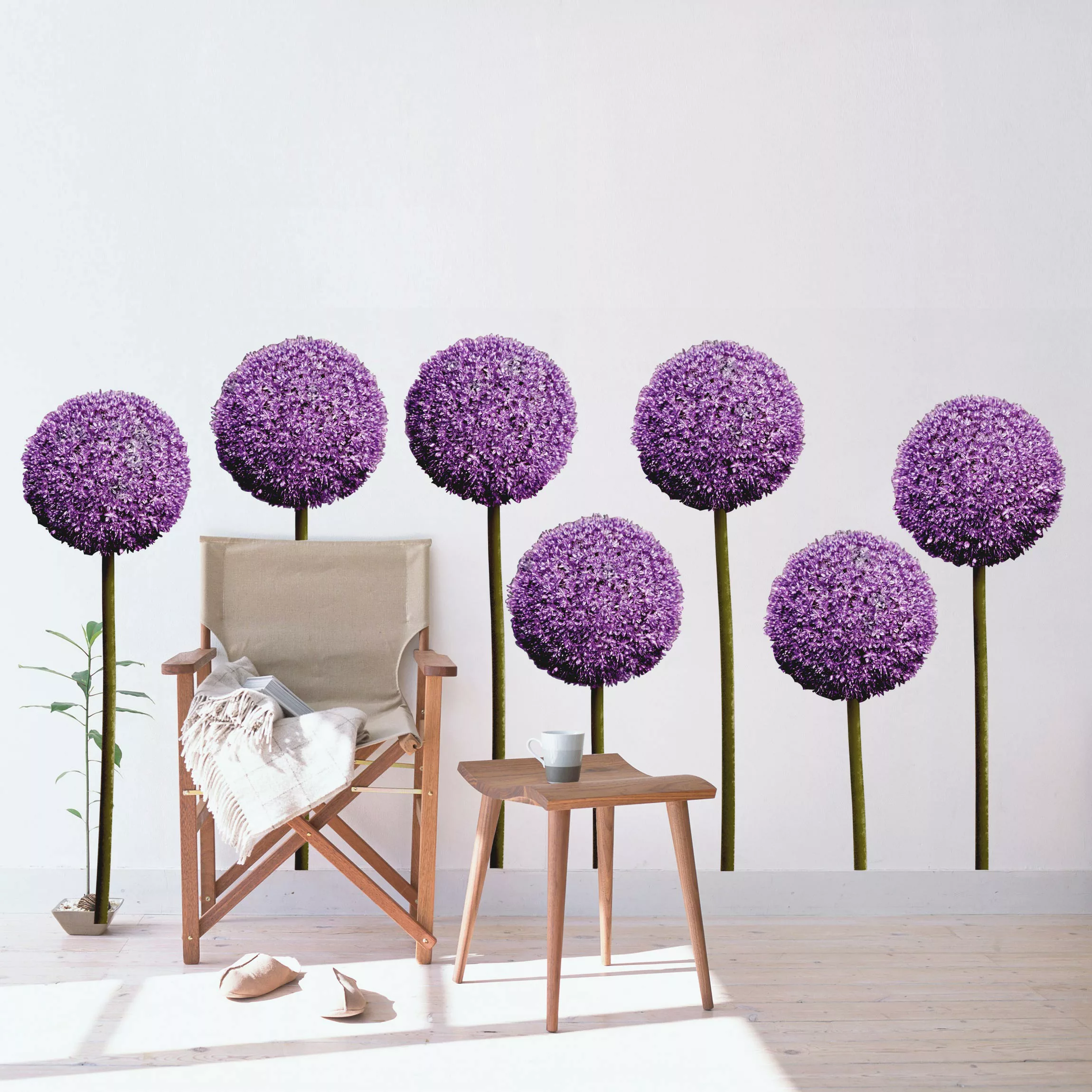 Wandtattoo Blumen Allium Kugel-Blüten 7er Set günstig online kaufen