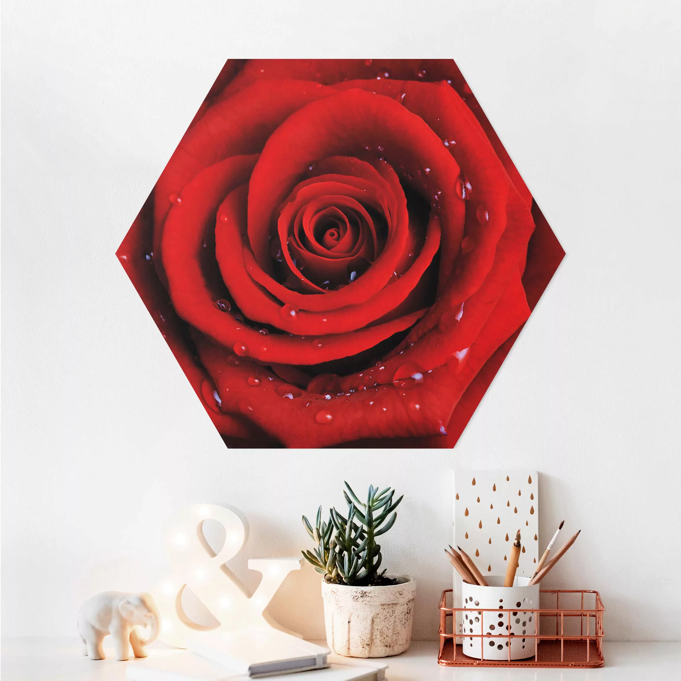 Hexagon-Alu-Dibond Bild Blumen Rote Rose mit Wassertropfen günstig online kaufen