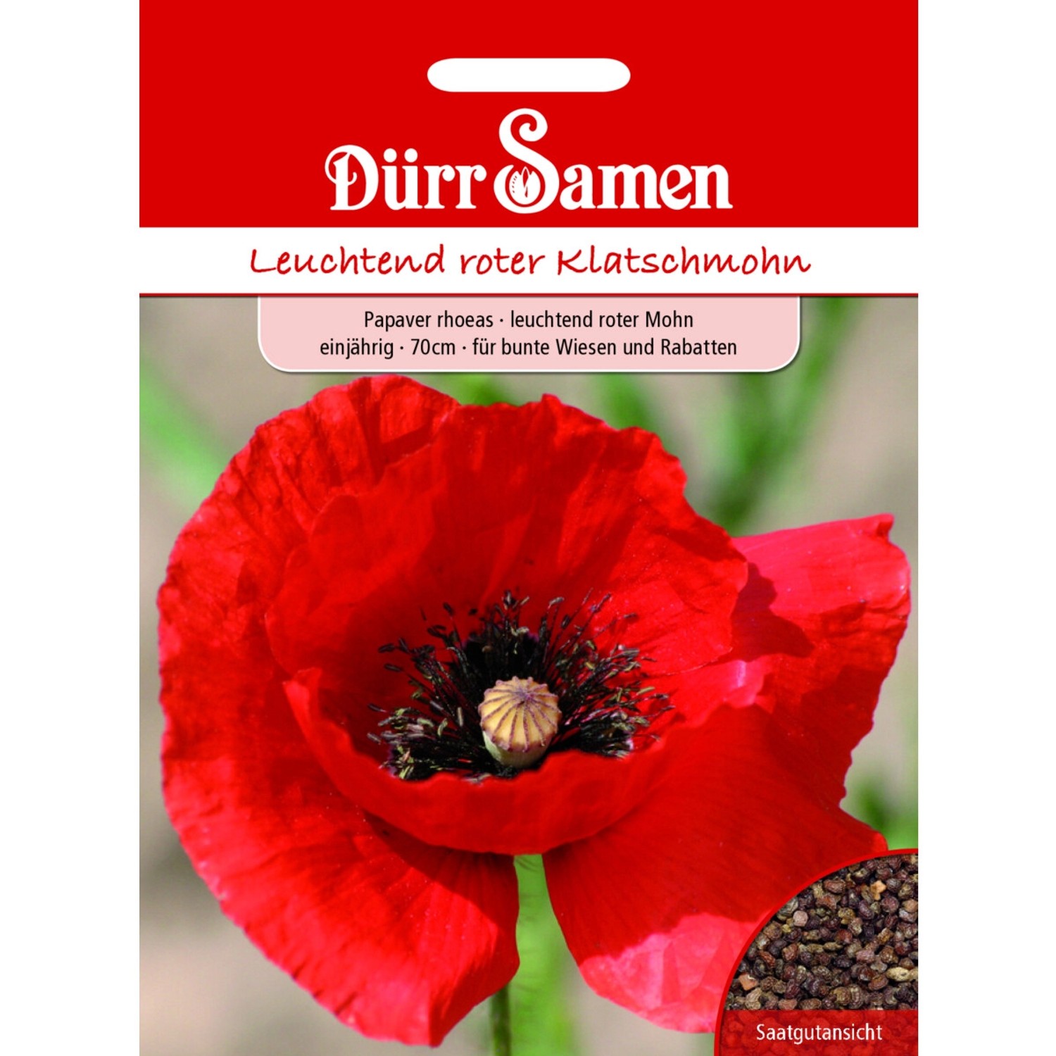 Dürr Samen Mohn Leuchtend Rot Einjährig Saatgut günstig online kaufen