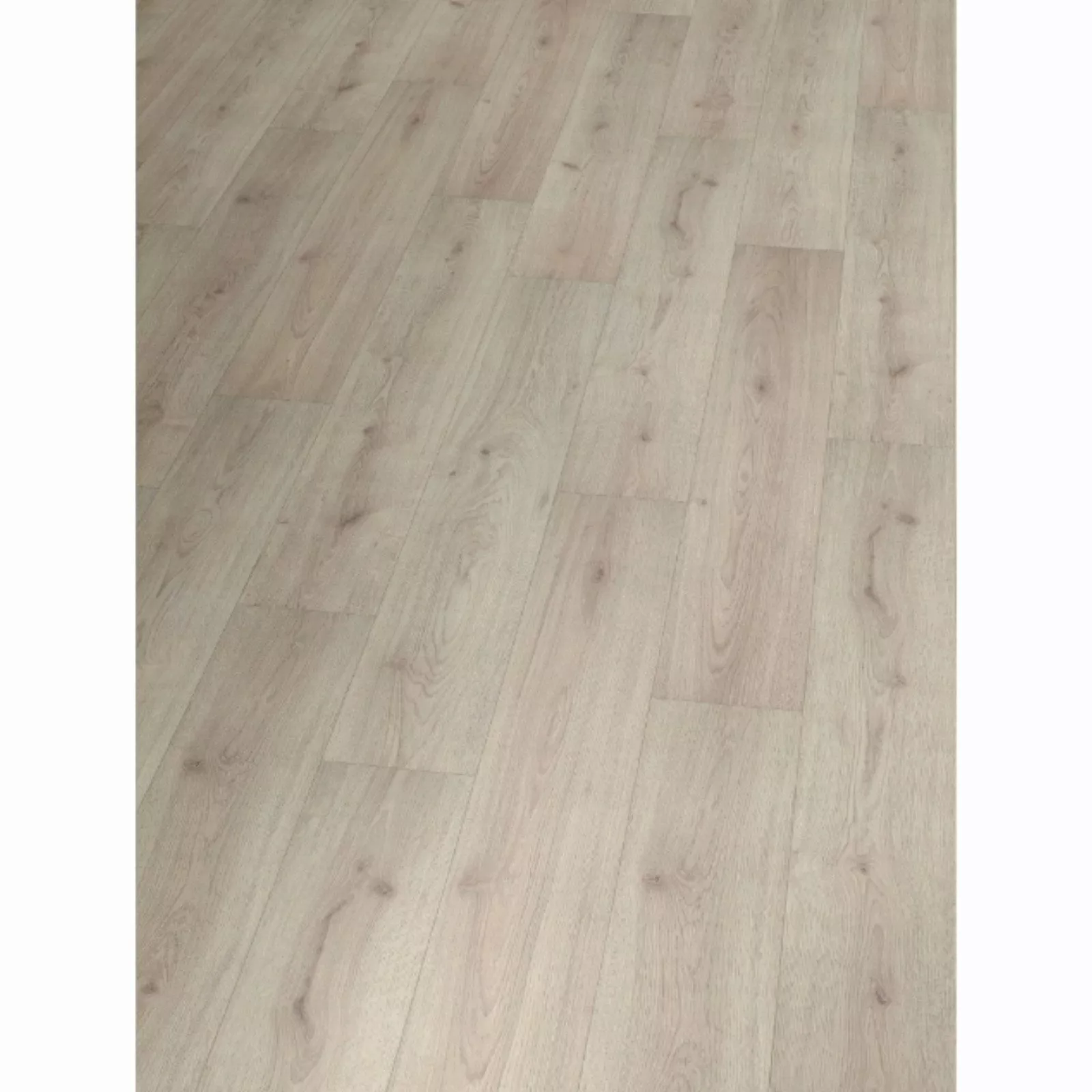 Hori Laminat HORI Laminat Holz, Boden günstig online kaufen