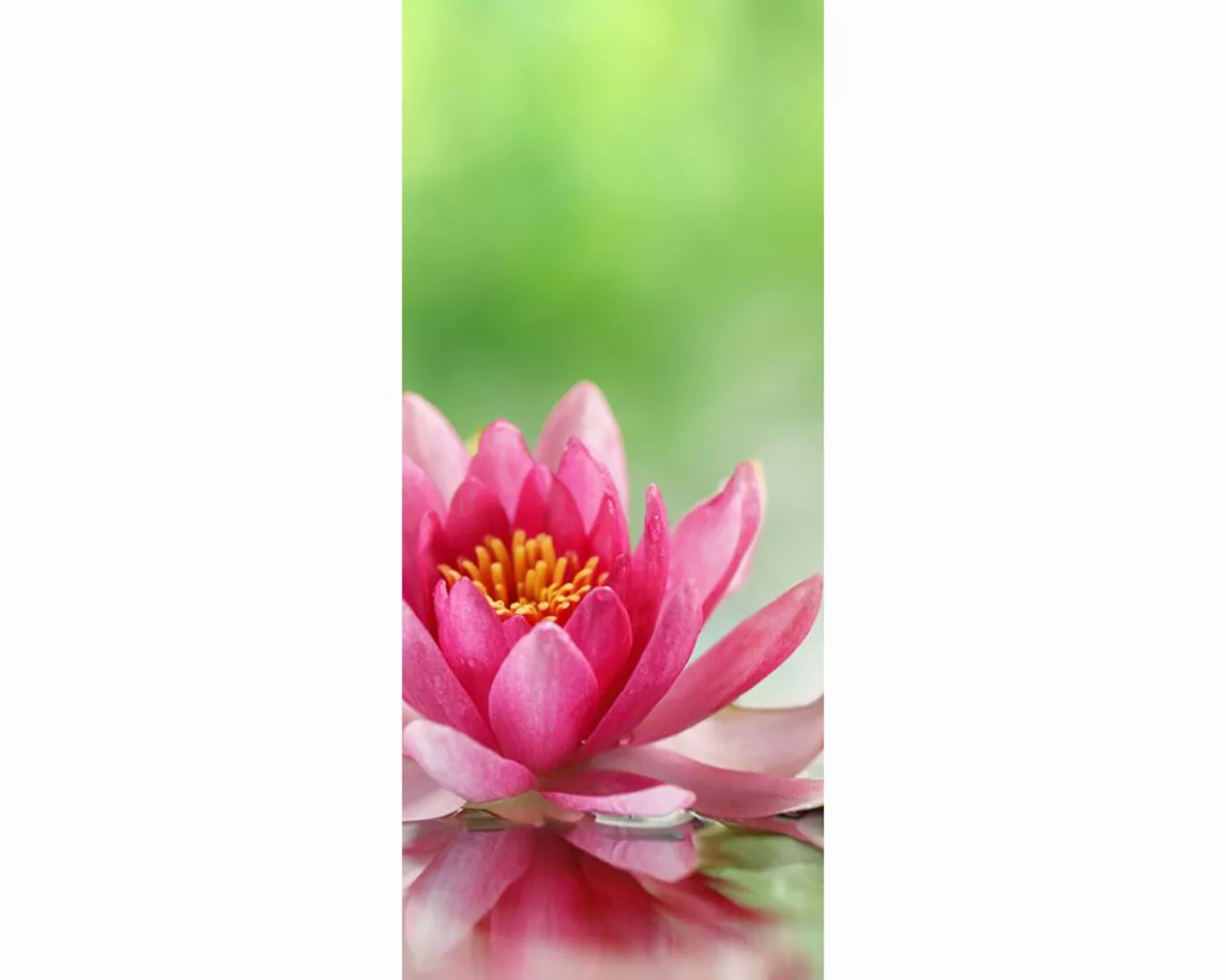 Trtapete "Lilie in Natur" 0,91x2,11 m / selbstklebende Folie günstig online kaufen