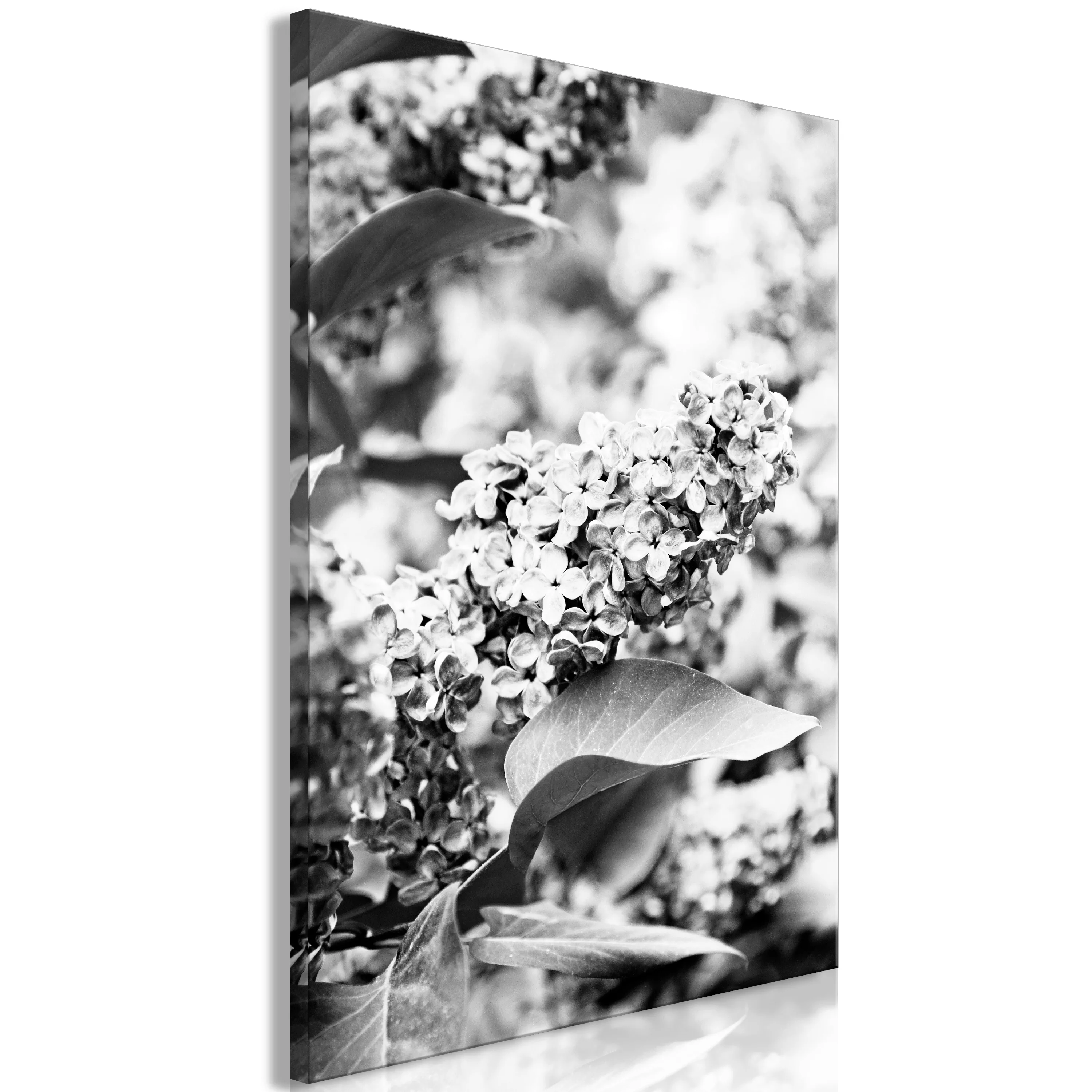 Wandbild - Monochrome Lilac (1 Part) Vertical günstig online kaufen