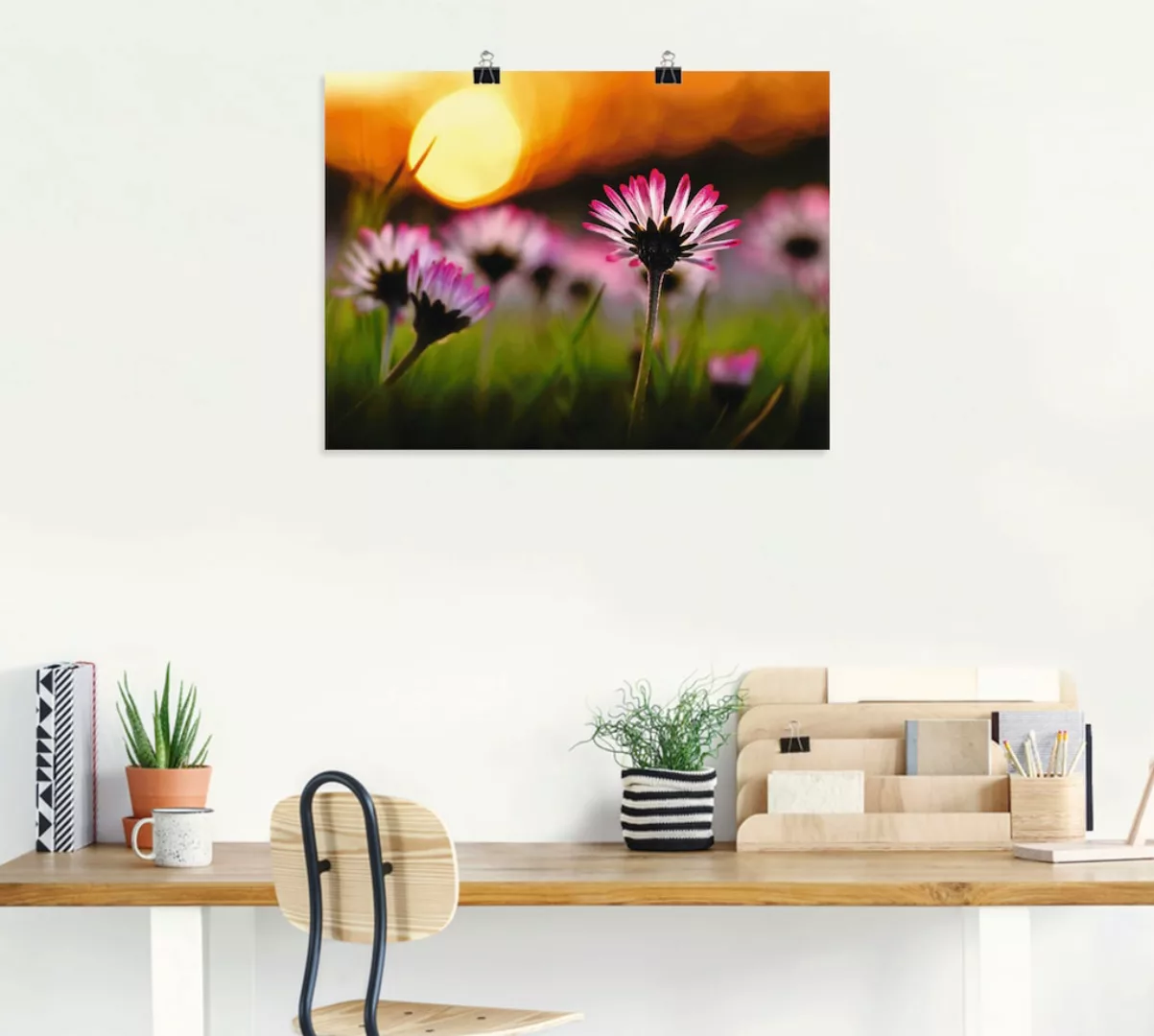 Artland Poster »Gänseblümchen im Sonnenuntergang«, Blumenwiese, (1 St.), al günstig online kaufen