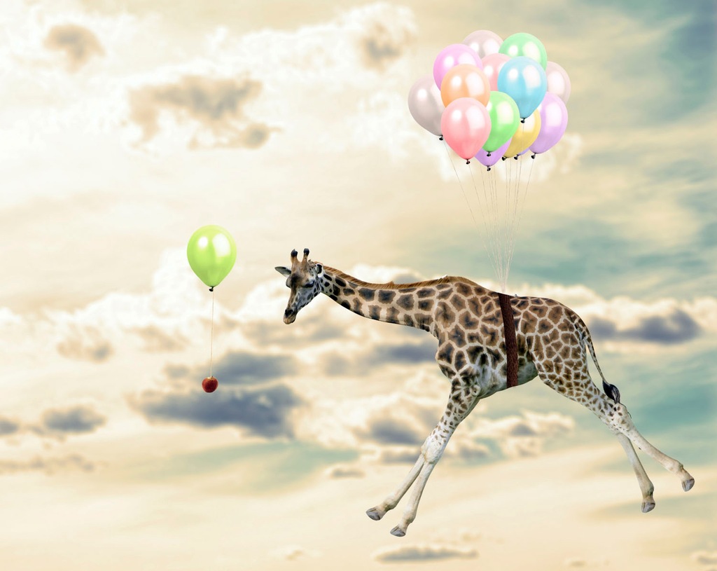 queence Acrylglasbild "fliegende Giraffe", Tiere-Luftballon-Himmel-Giraffe- günstig online kaufen