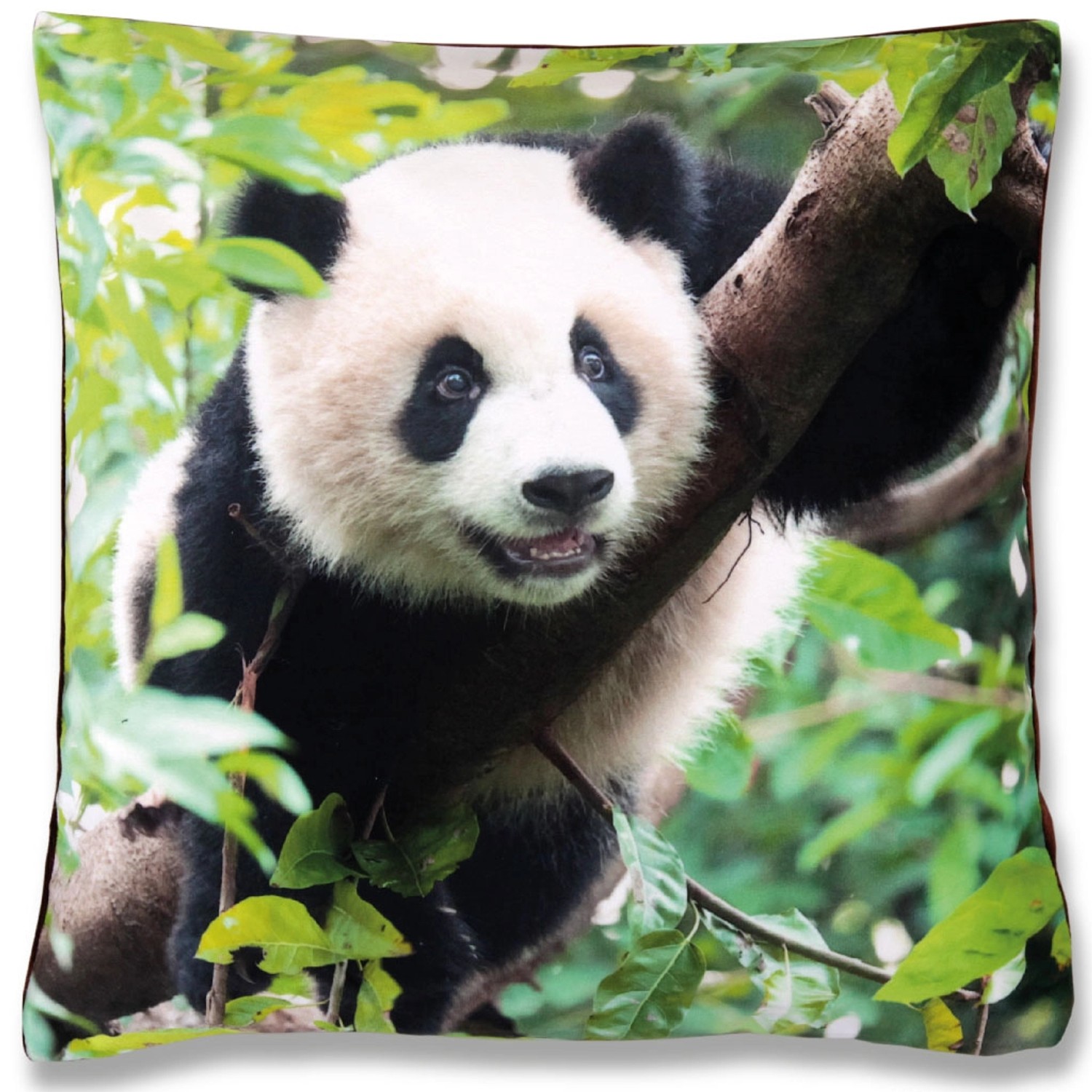 Bestlivings Kissenhülle Fotodruck 40 x 40 cm Panda mit Füllung günstig online kaufen