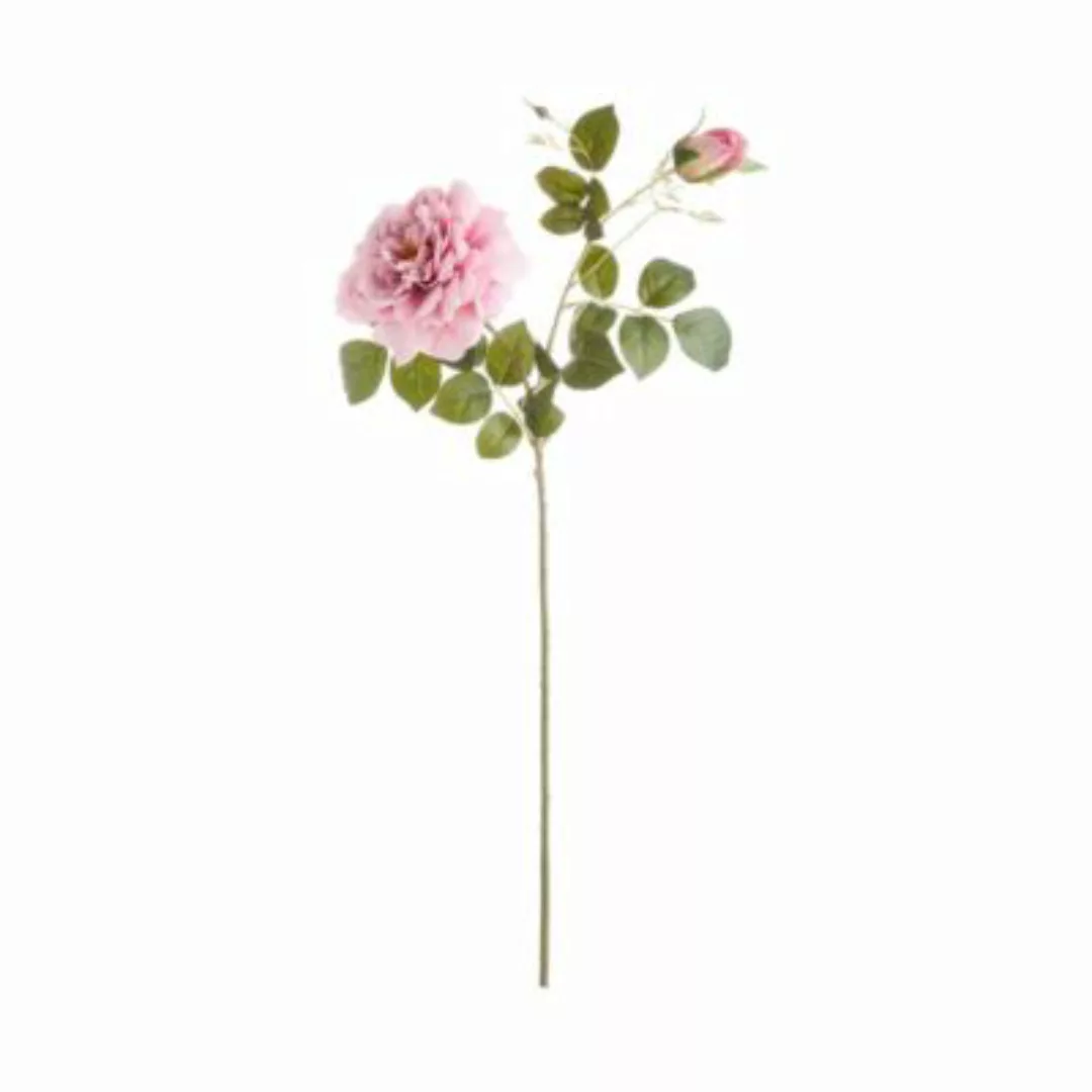 FLORISTA Rose Länge 79cm günstig online kaufen