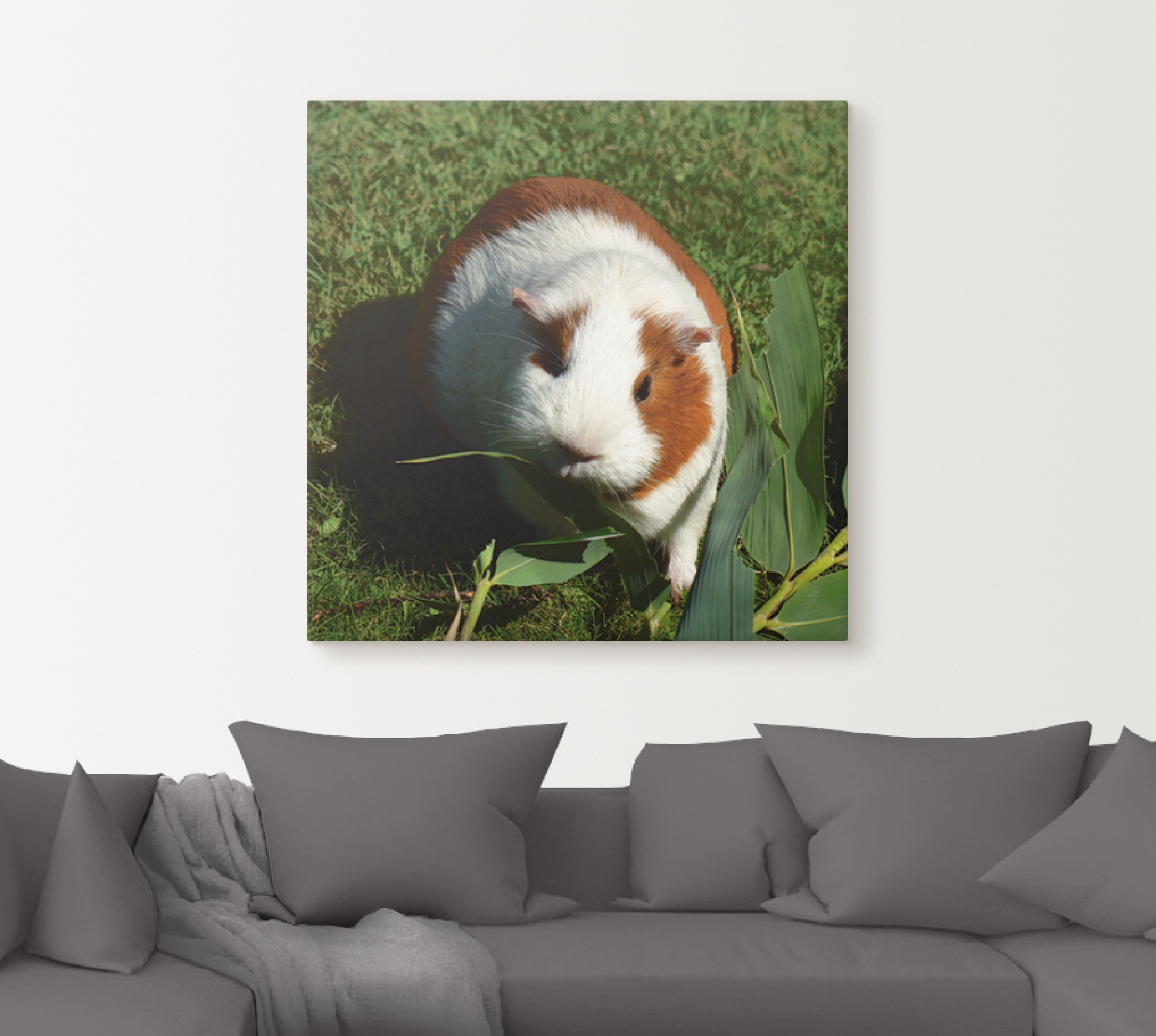 Artland Wandbild "Orange weißes Meerschweinchen", Haustiere, (1 St.), als A günstig online kaufen