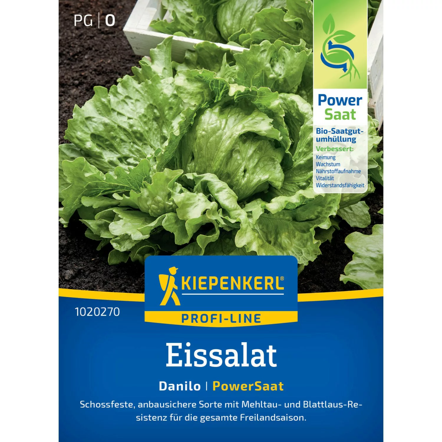 Kiepenkerl Eissalat Danilo (Lactuca sativa) günstig online kaufen