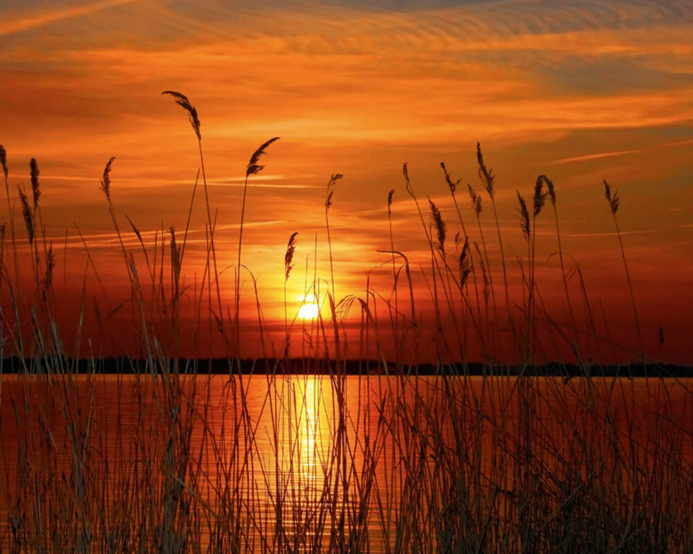 Fototapete "Sonnenuntergan" 4,00x2,50 m / Glattvlies Perlmutt günstig online kaufen