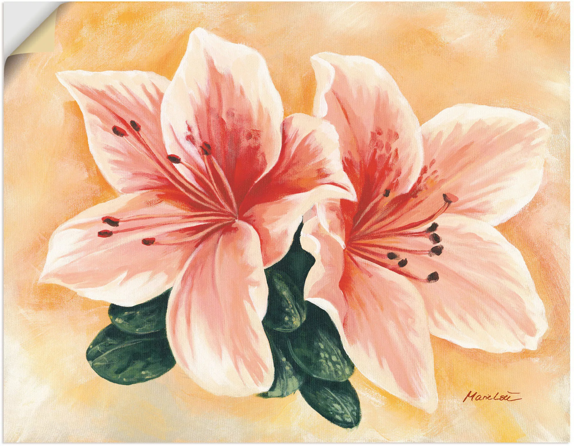 Artland Wandbild "lachsfarbene Lilien", Blumen, (1 St.), als Alubild, Outdo günstig online kaufen