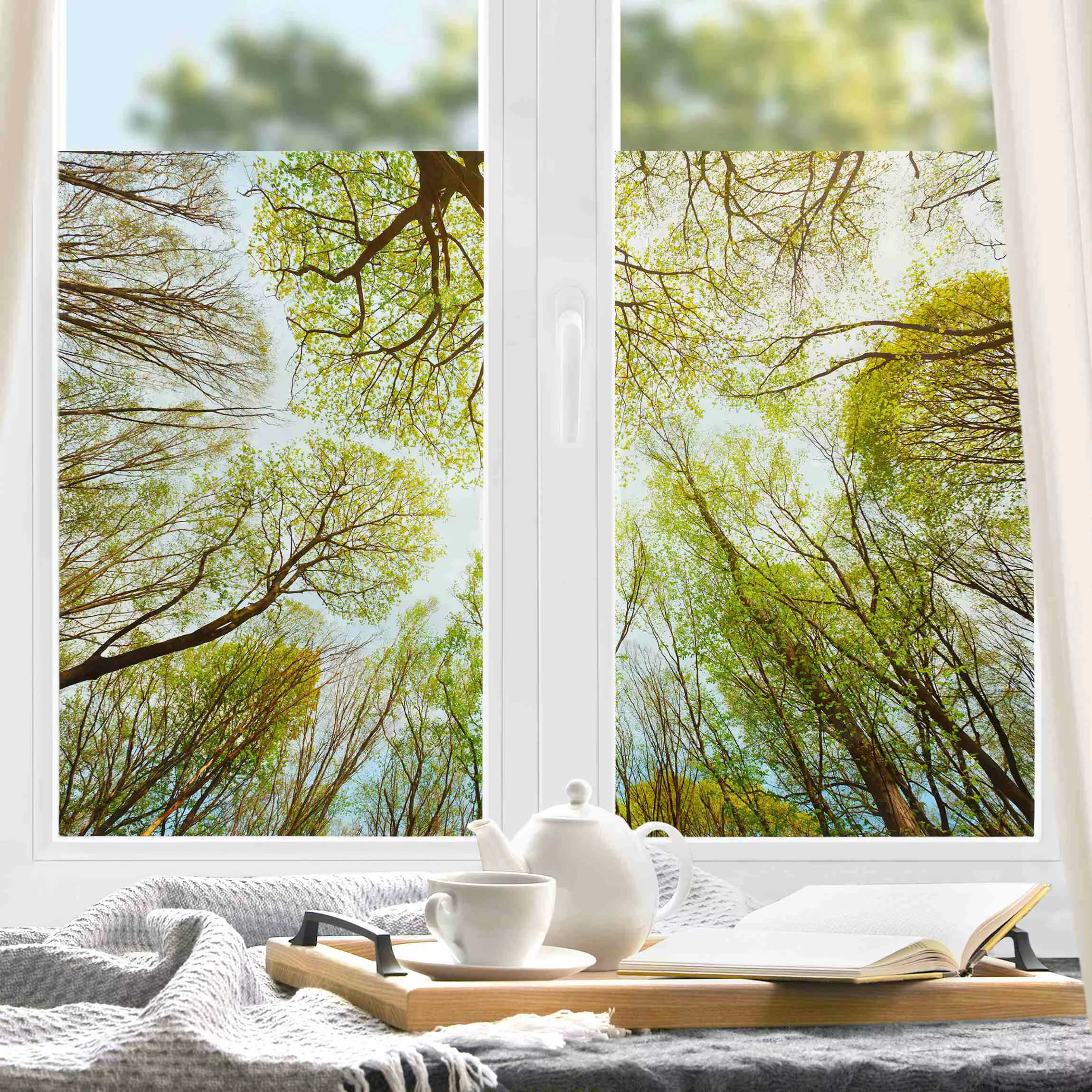 Fensterfolie Blick in Baumkronen günstig online kaufen