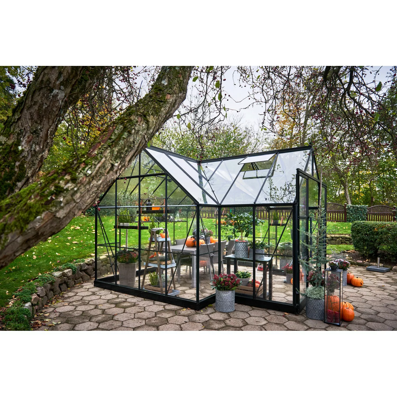 Halls Gewächshaus Garden Room mit 3 mm Sicherheitsglas Schwarz 12,9 m² günstig online kaufen