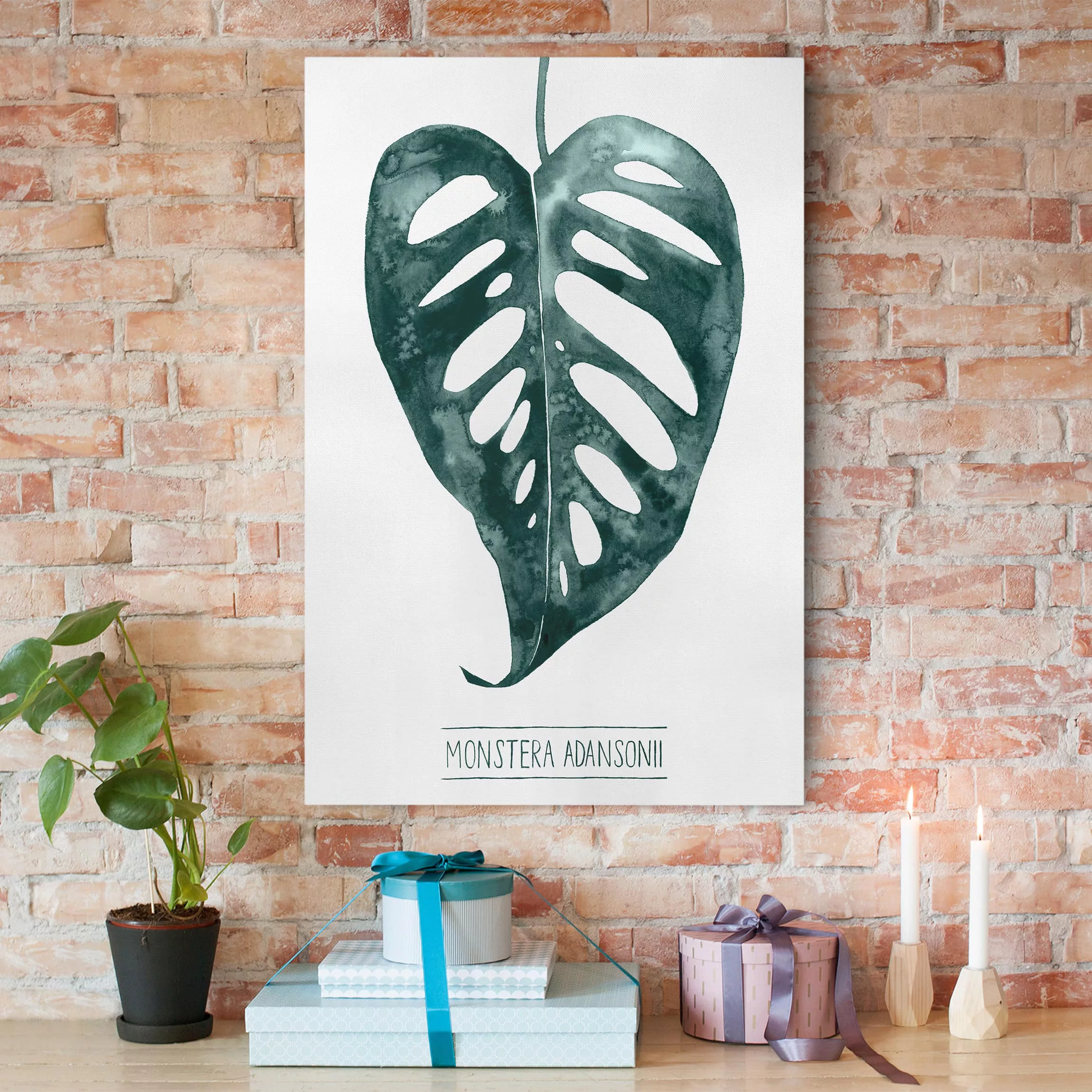 Leinwandbild Botanik - Hochformat Smaragdgrüne Monstera Adansonii günstig online kaufen