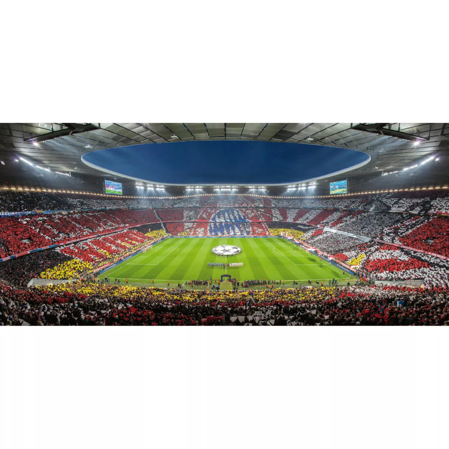 Erfurt Fototapete Vlies FC Bayern Immer Weiter 624 cm x 300 cm günstig online kaufen