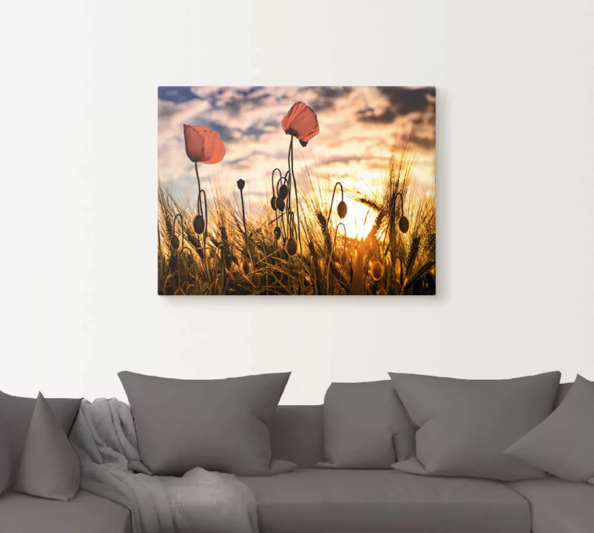 Artland Wandbild "Mohnblumen im Sonnenuntergang", Blumen, (1 St.), als Alub günstig online kaufen