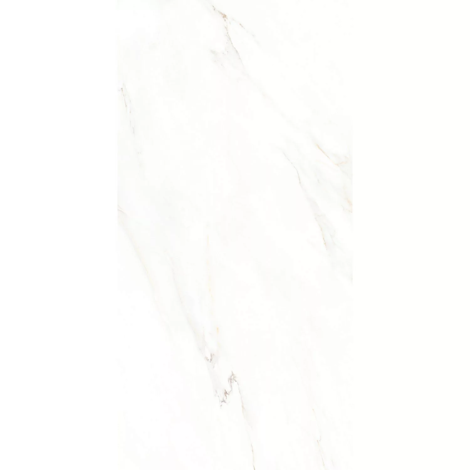 Bodenfliese Calacatta Feinsteinzeug Glasiert Poliert 60 cm x 120 cm günstig online kaufen