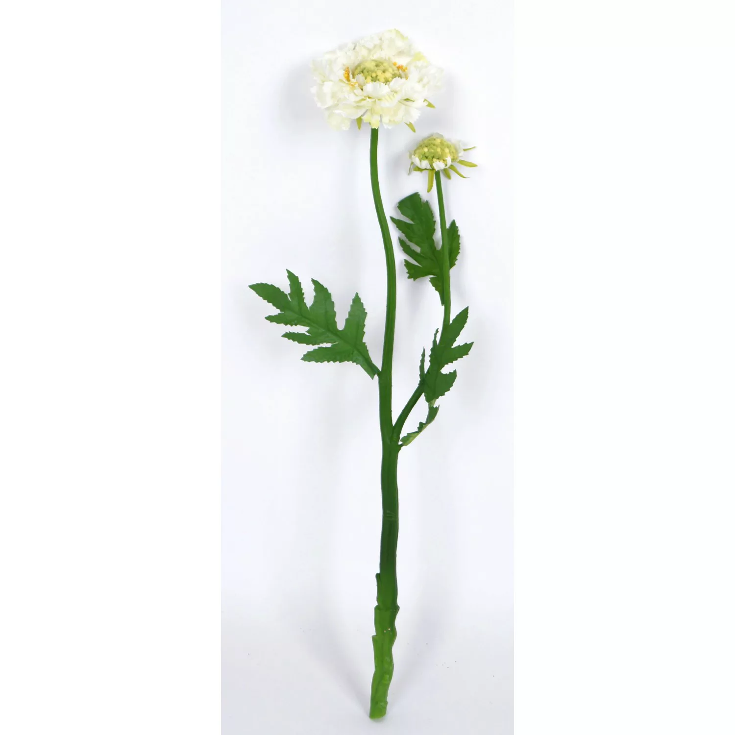 Kunstblume Scabiosa Creme 50 cm günstig online kaufen