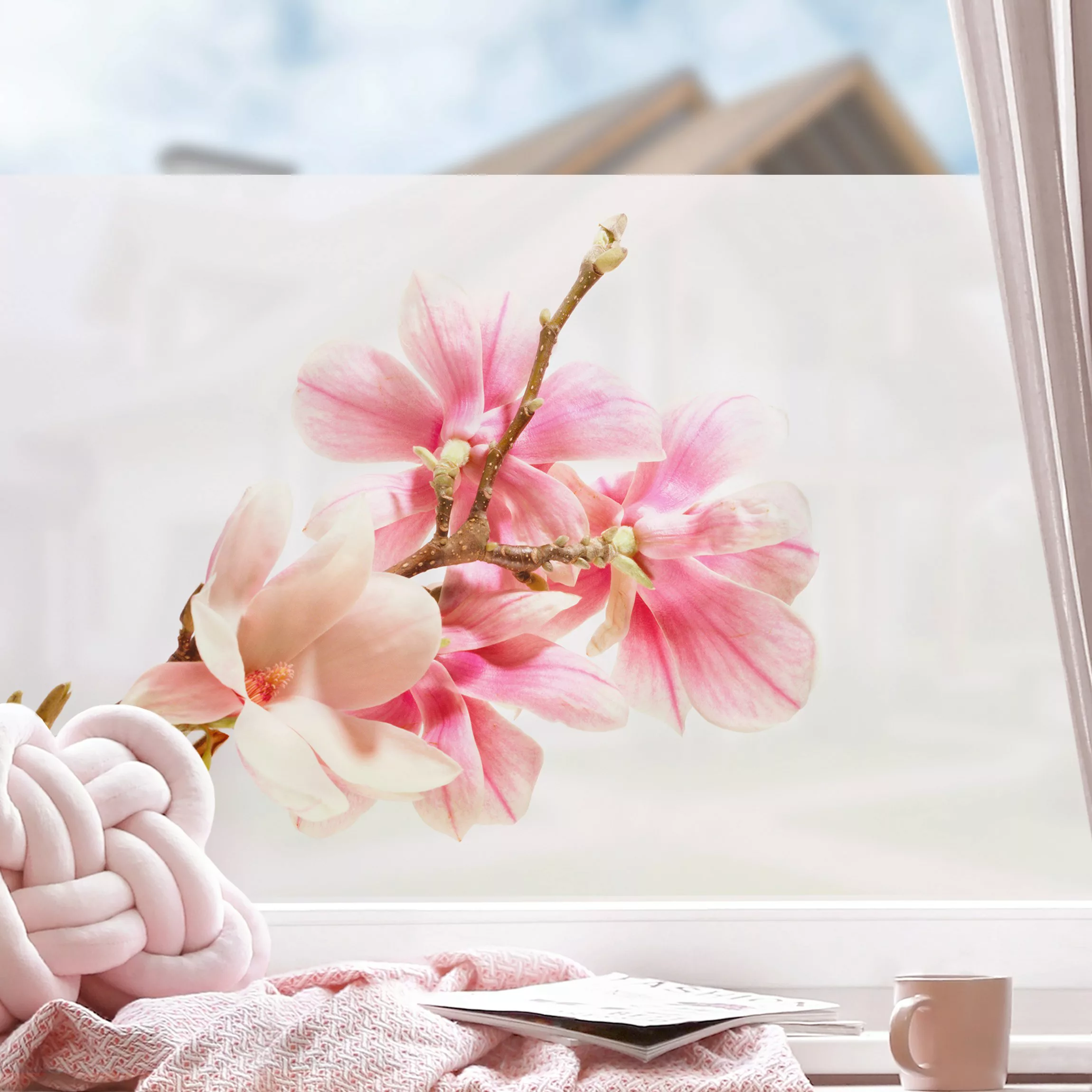 Fensterfolie Magnolienblüten günstig online kaufen