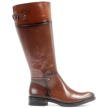 Dorking  Stiefel TIERRA günstig online kaufen