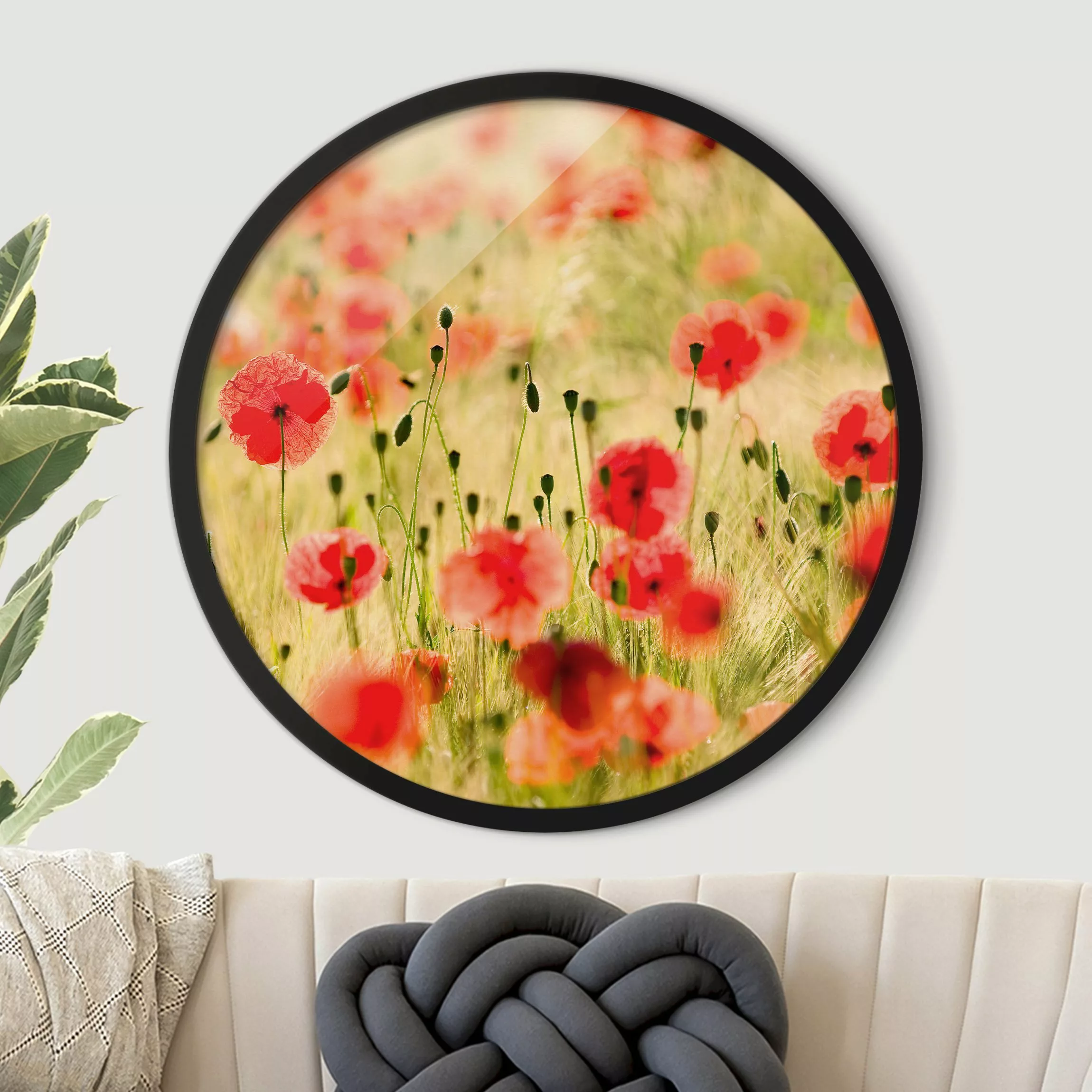 Rundes Gerahmtes Bild Summer Poppies günstig online kaufen