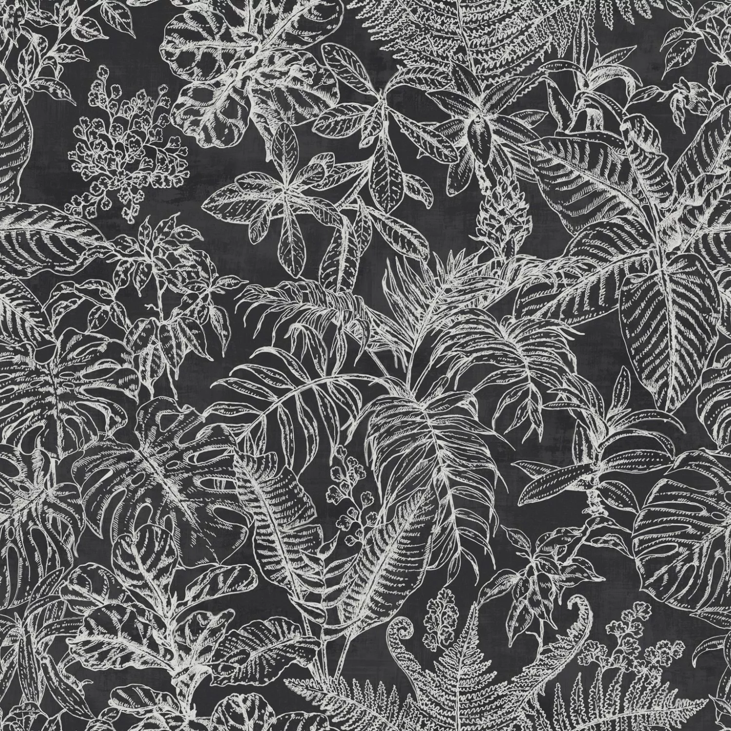 Erfurt Vliestapete Blätter weiß schwarz B/L: ca. 53x1005 cm günstig online kaufen