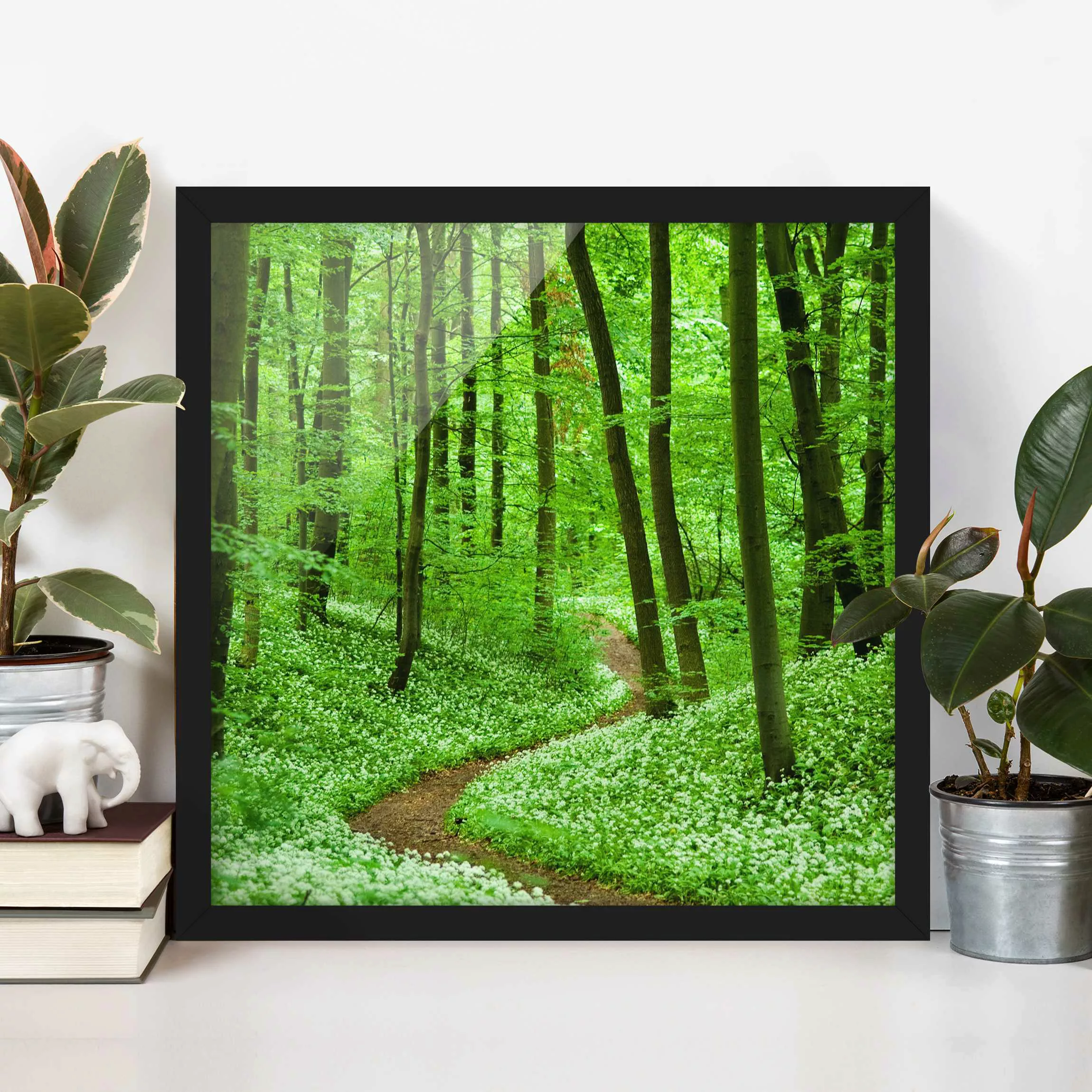 Bild mit Rahmen Natur & Landschaft - Quadrat Romantischer Waldweg günstig online kaufen