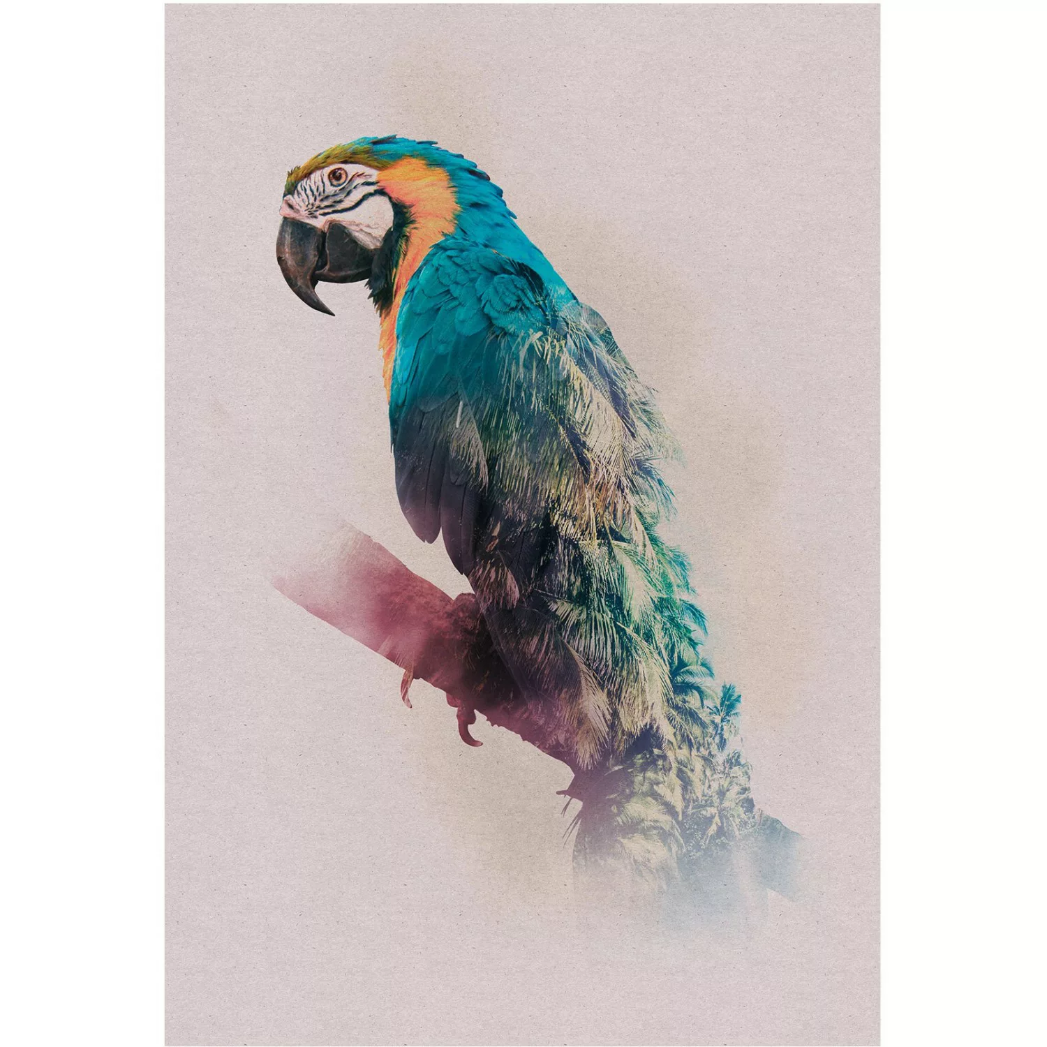 Komar Poster "Animals Paradise Parrot", Tiere, (1 St.) günstig online kaufen