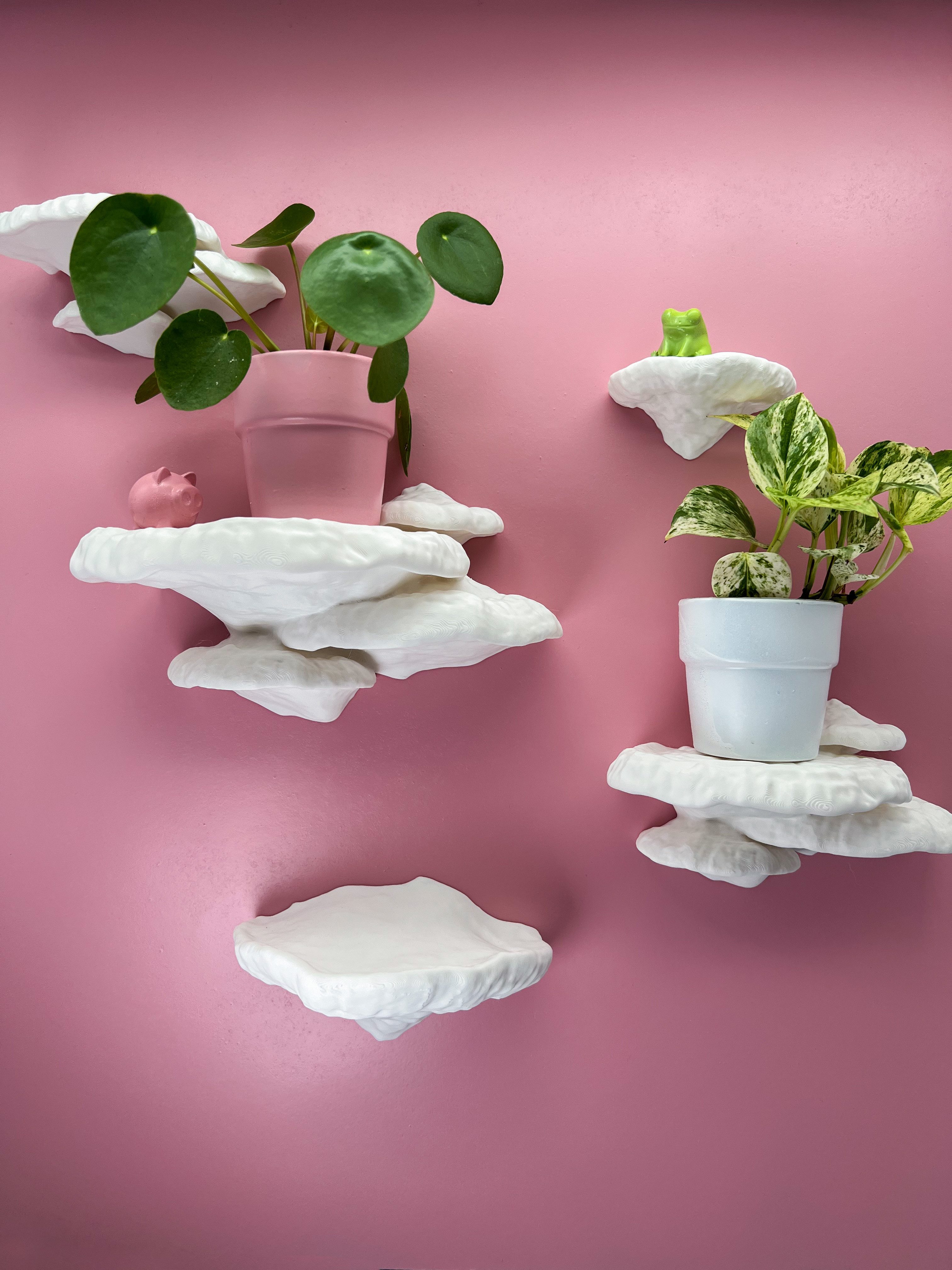 Roomberry Deko-Wandregal Baumschwamm Pilz Wandregal-Set, Pilzregal-Set, günstig online kaufen