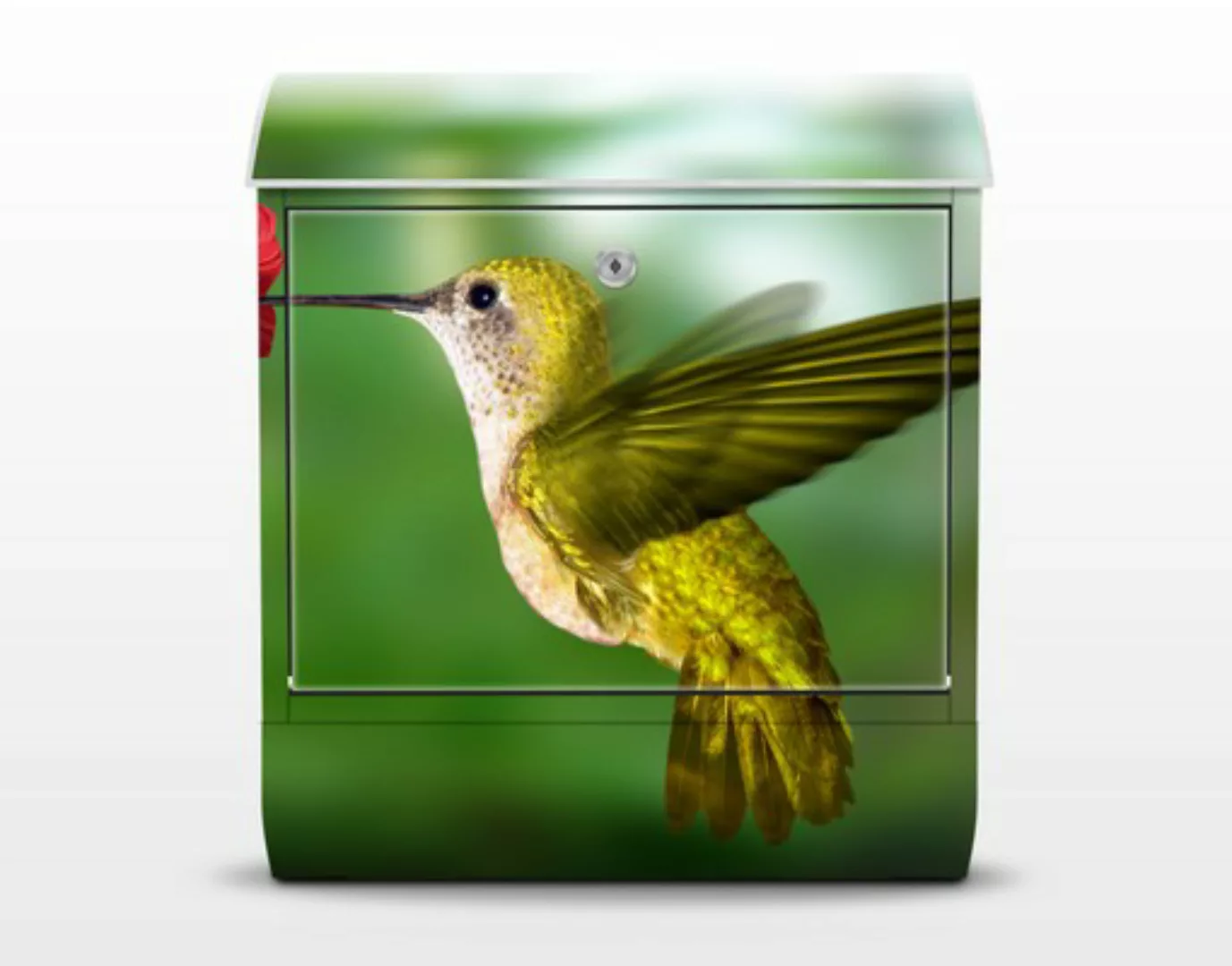 Briefkasten Tiere Kolibri und Blüte günstig online kaufen