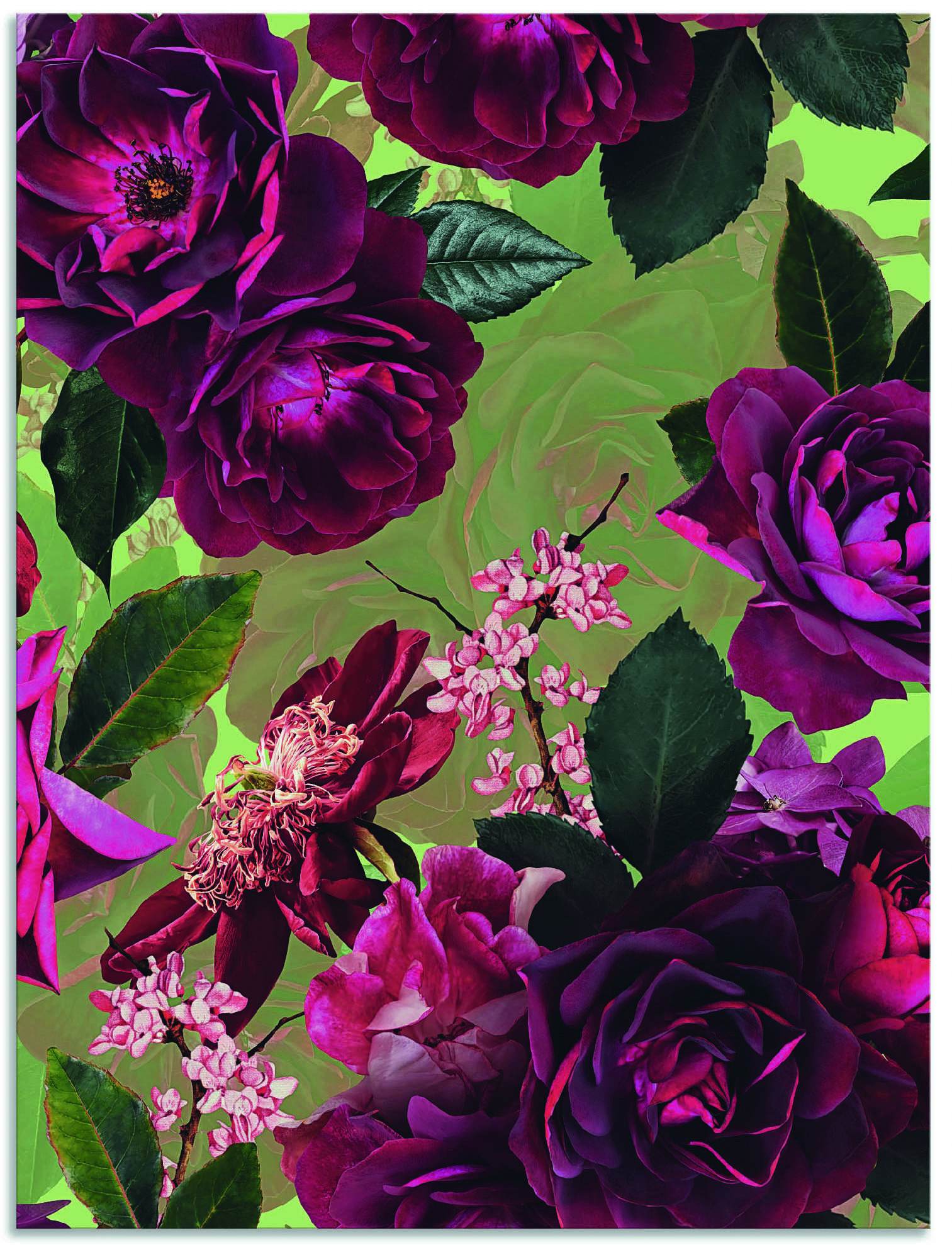Artland Wandbild »Dunkle Rosen auf Grün«, Blumenbilder, (1 St.), als Alubil günstig online kaufen