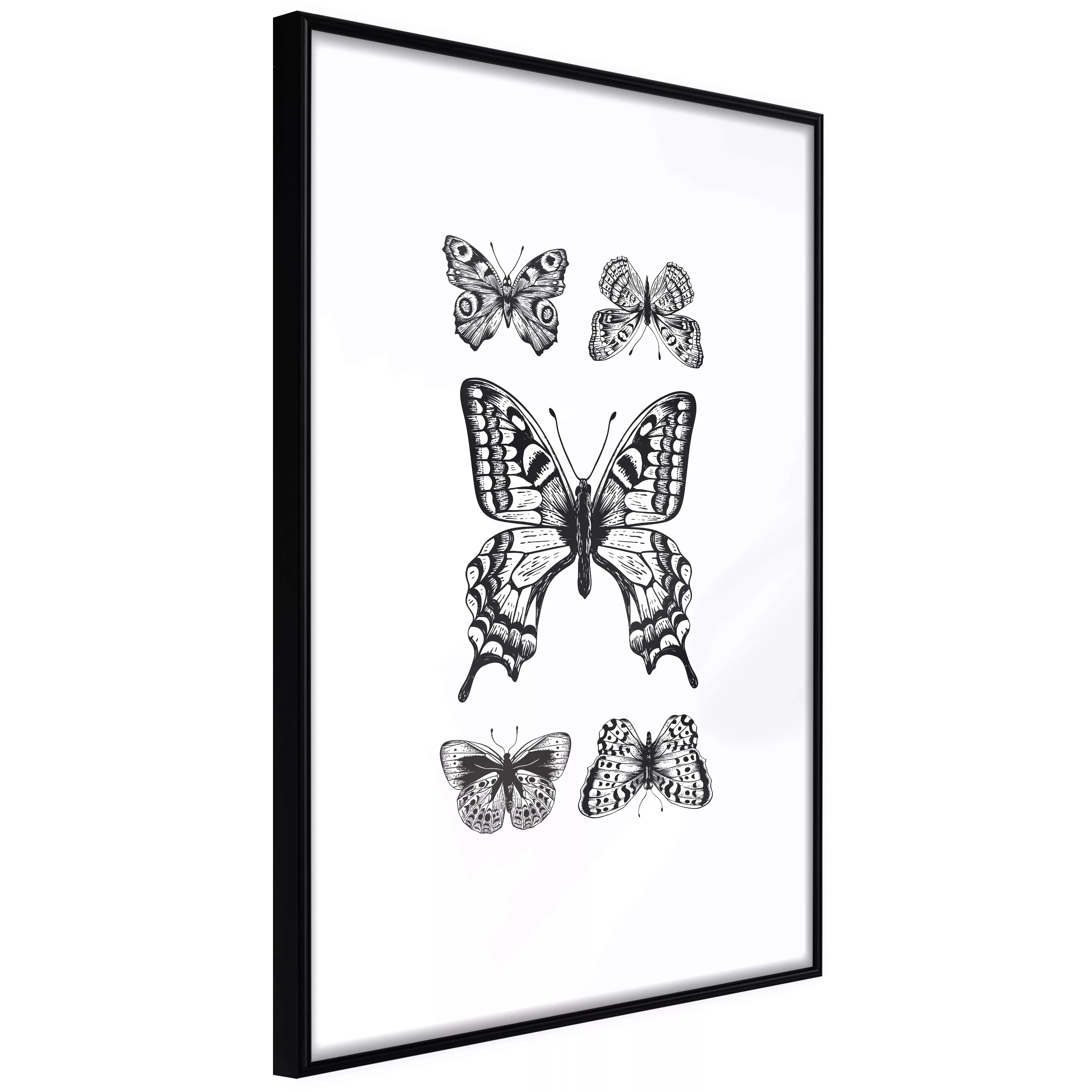 Poster - Butterfly Collection Iv günstig online kaufen