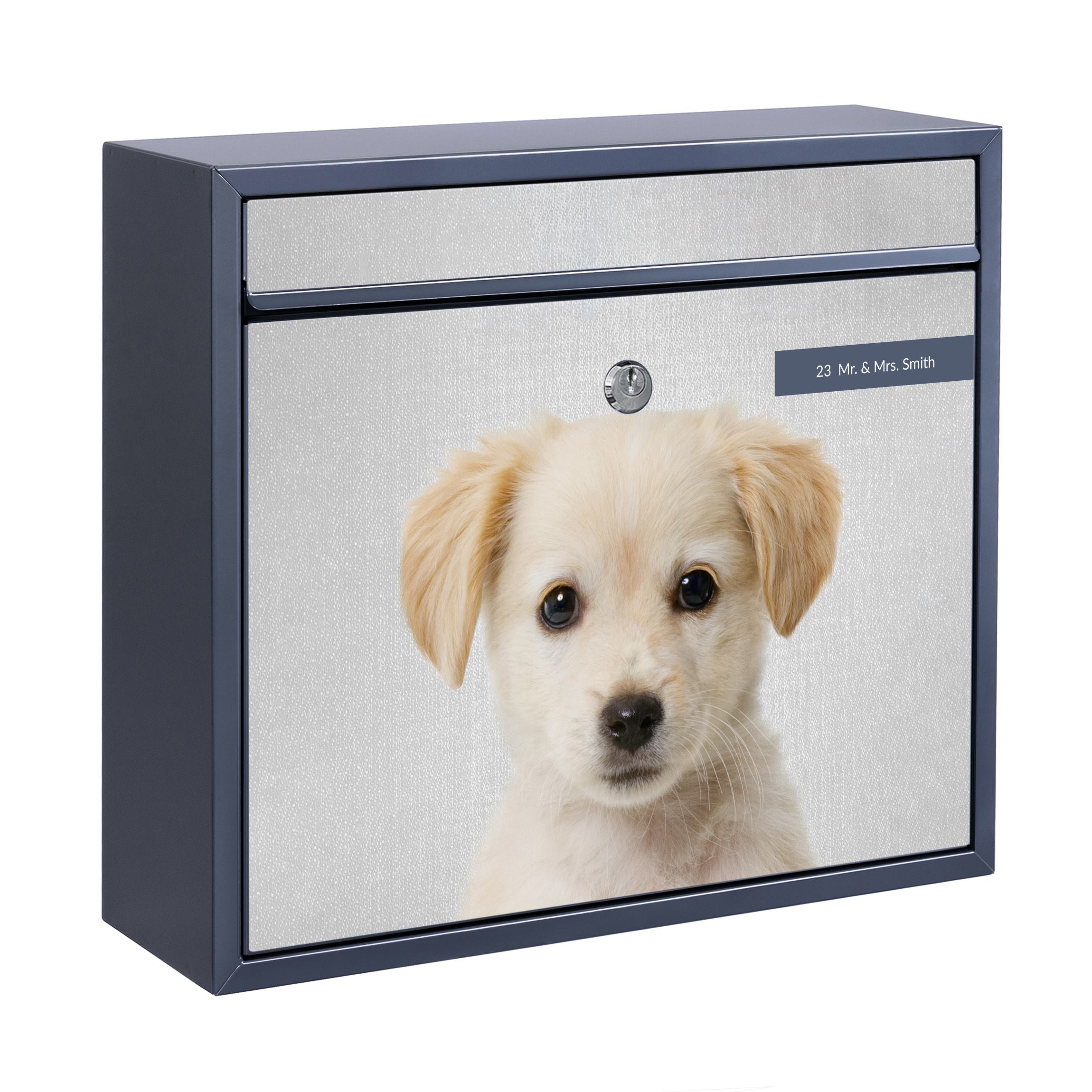 Briefkasten mit eigenem Text Baby Golden Retriever Gizmo günstig online kaufen