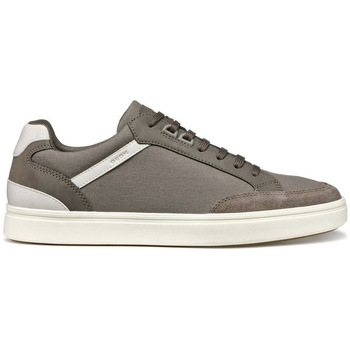 Geox  Sneaker U Baltmoore sneaker in tela günstig online kaufen