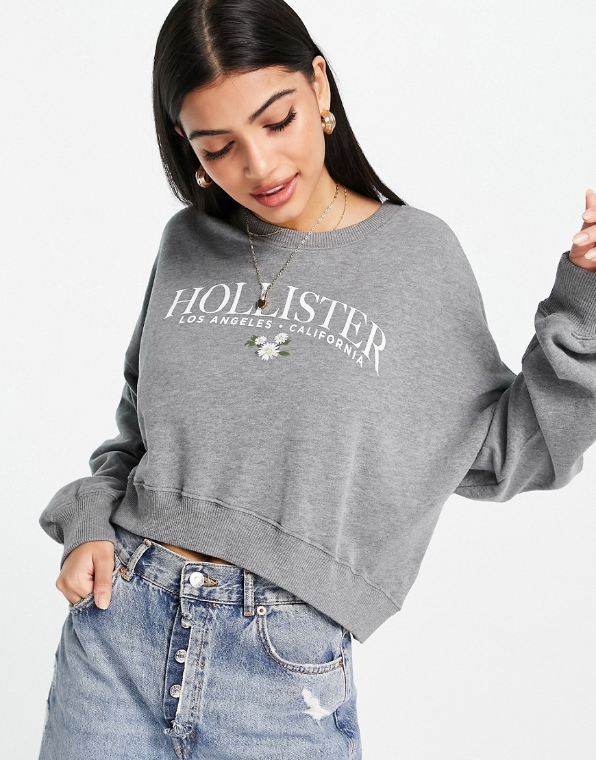 Hollister – Sweatshirt mit Logo in Grau günstig online kaufen