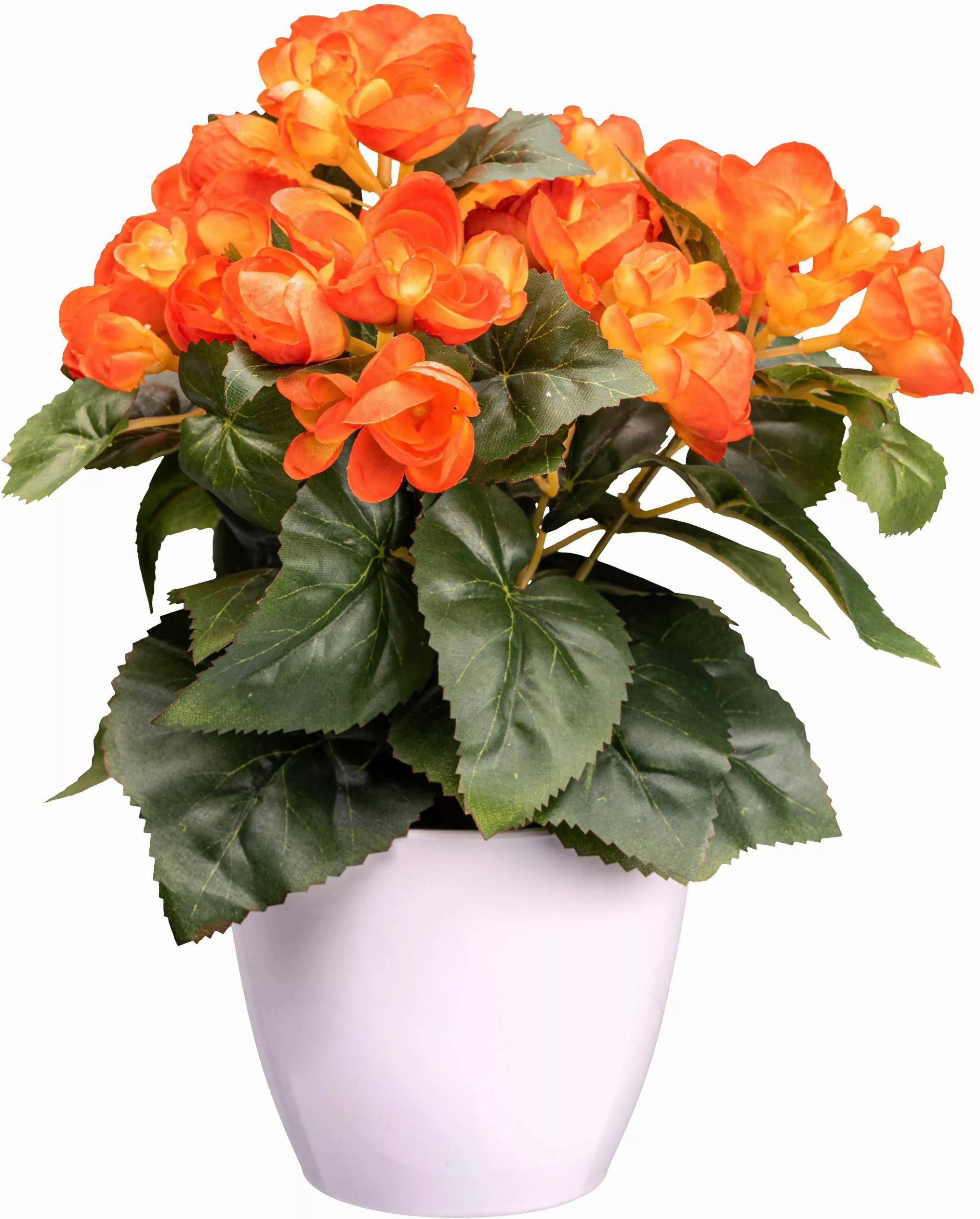 Kunstblume Begonie Blühpflanze, Creativ green, Höhe günstig online kaufen