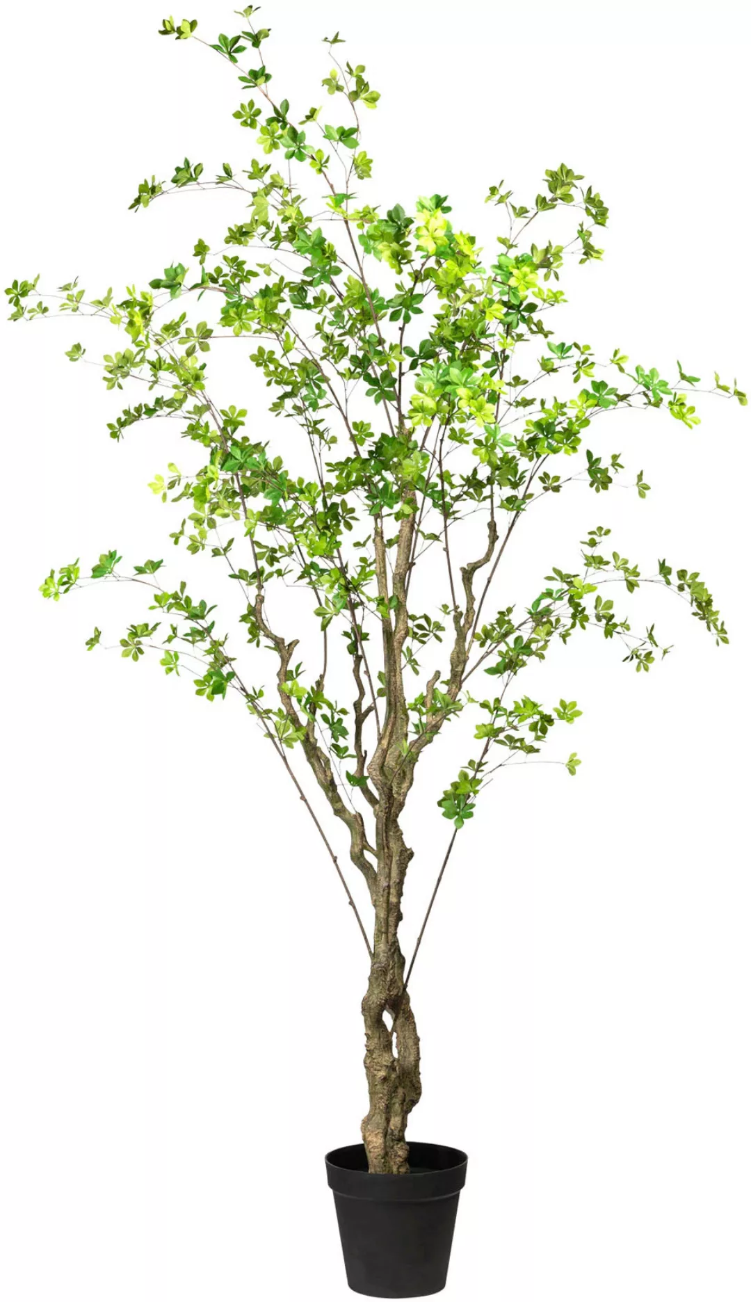 Creativ green Kunstbaum "Louisiana-Baum" günstig online kaufen