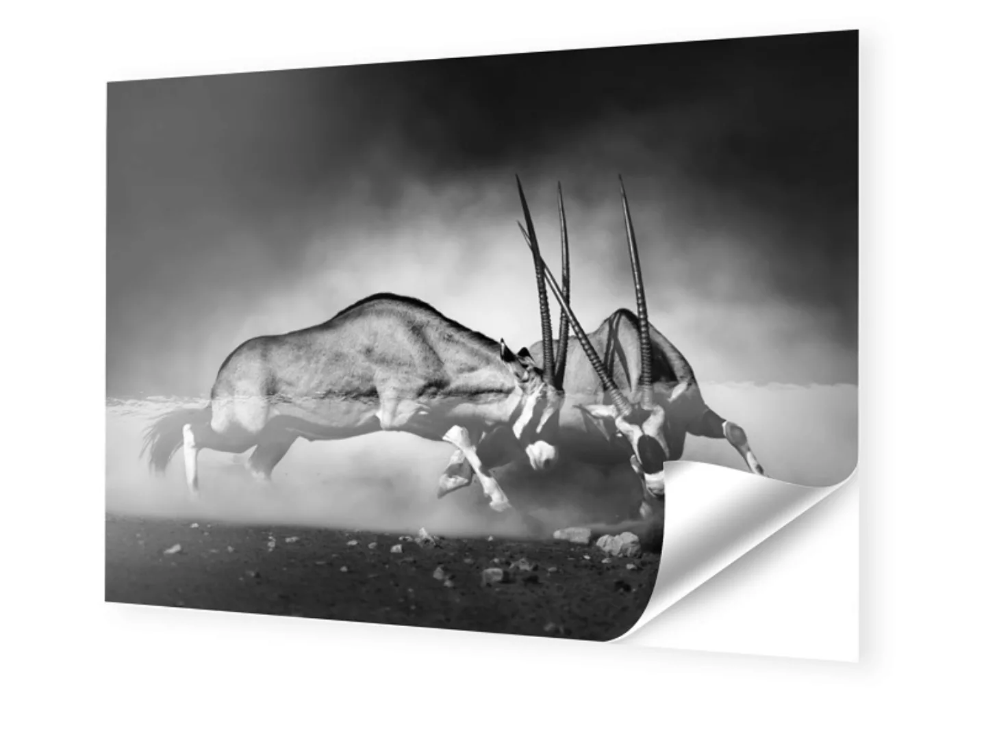 Foto auf Klebefolie im Format 120 x 80 cm im Format 120 x 80 cm günstig online kaufen