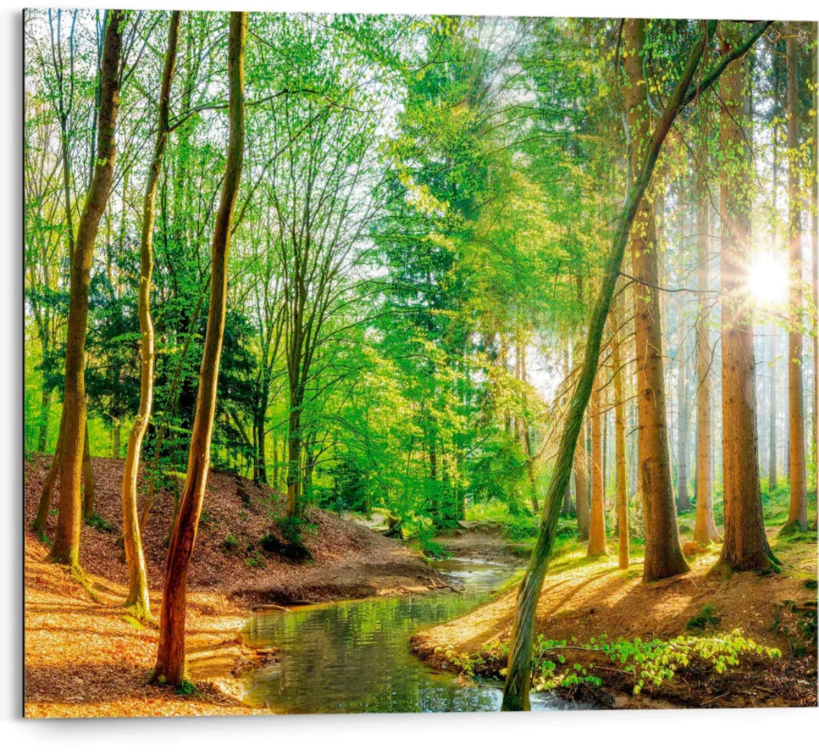 Reinders Deco-Panel "Sonniger Wald" günstig online kaufen