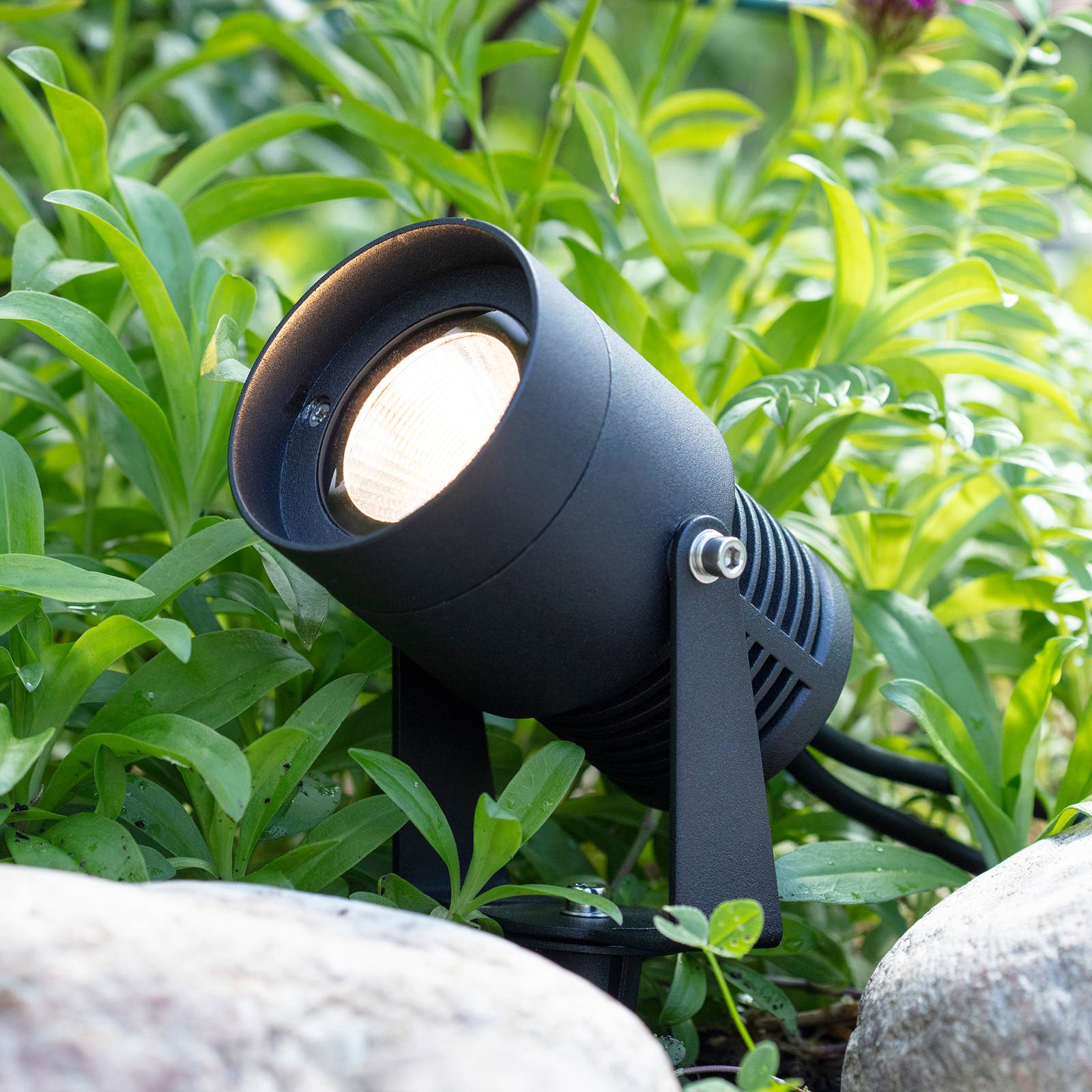 Garden 24 LED-Spotlight, schwarz, 3 Watt günstig online kaufen