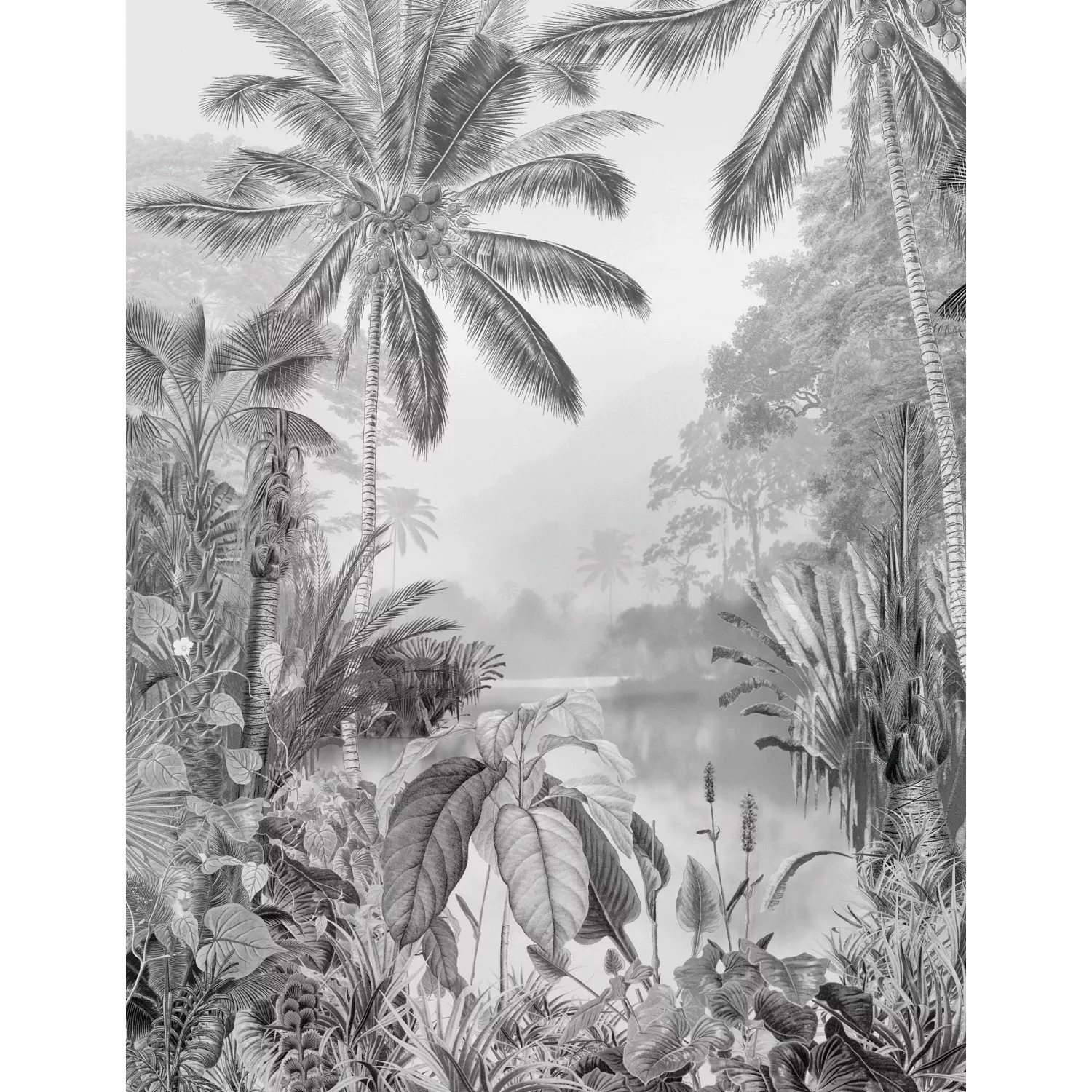 KOMAR Vlies Fototapete - Lac Tropical Black & White - Größe 200 x 270 cm me günstig online kaufen