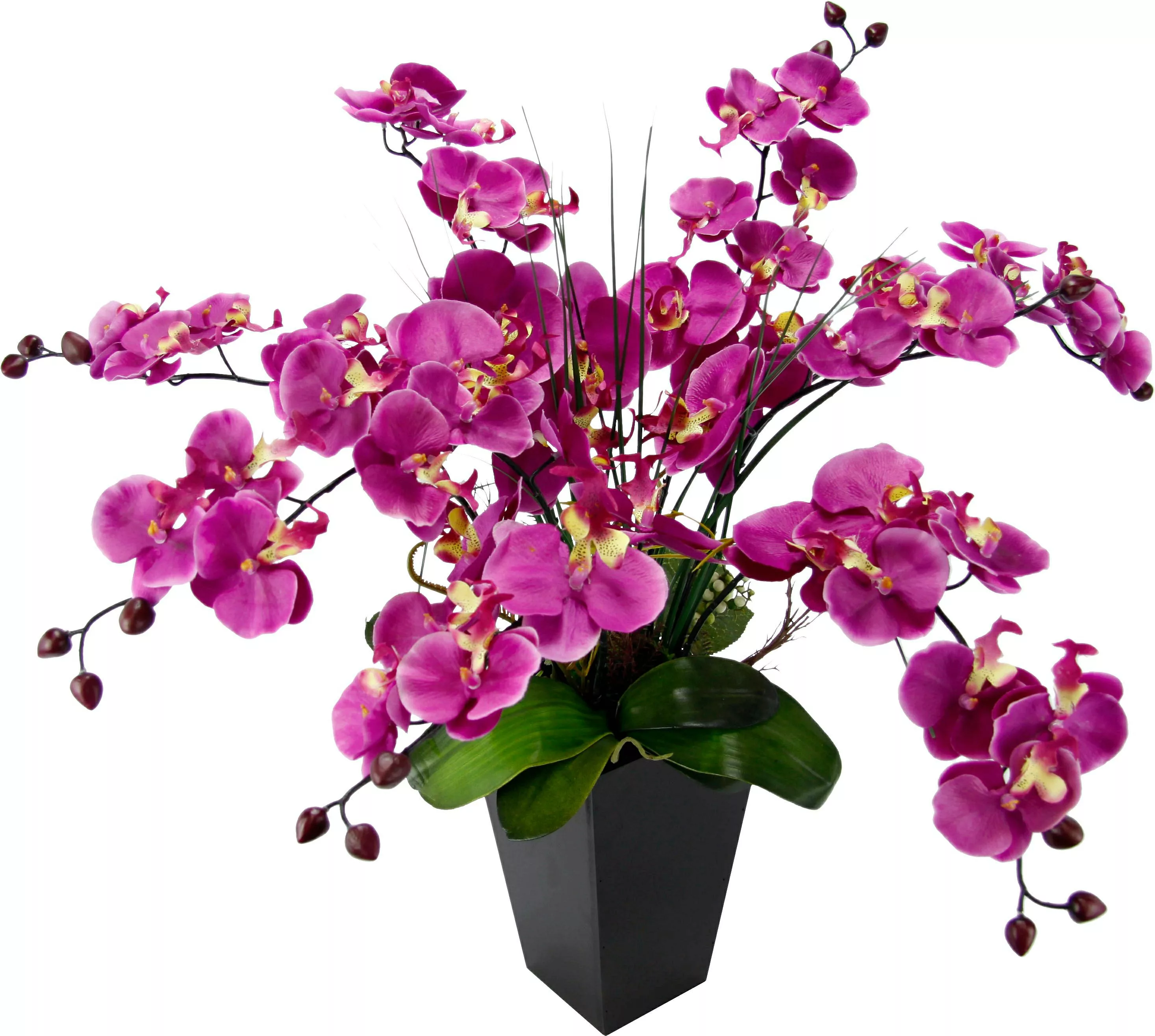 I.GE.A. Kunstpflanze "Phalaenopsis im Topf" günstig online kaufen