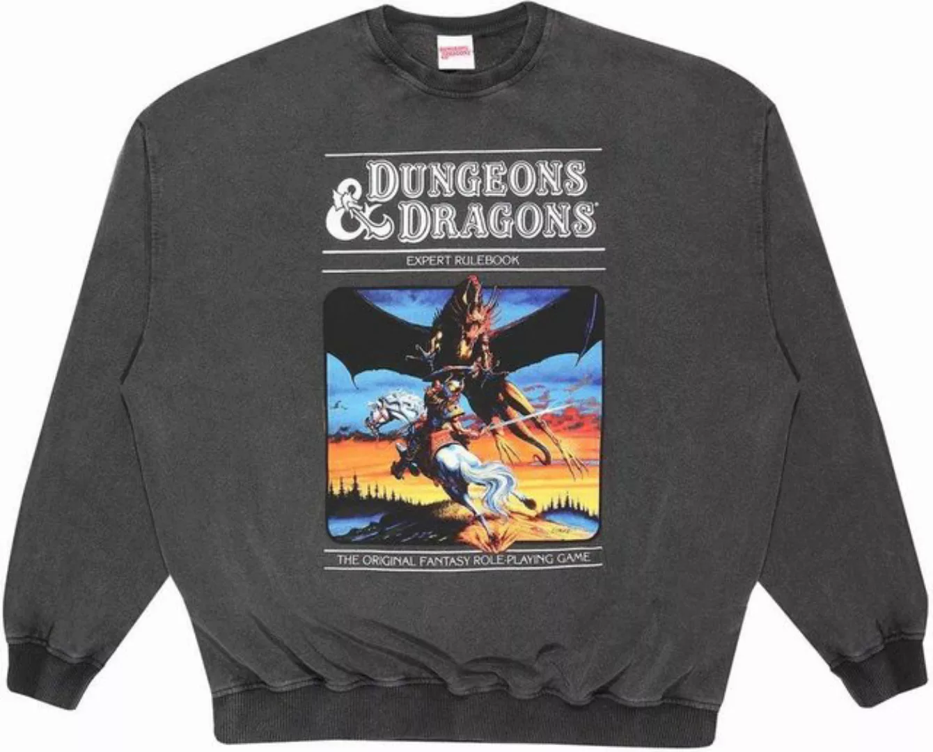 DUNGEONS & DRAGONS Rundhalspullover günstig online kaufen